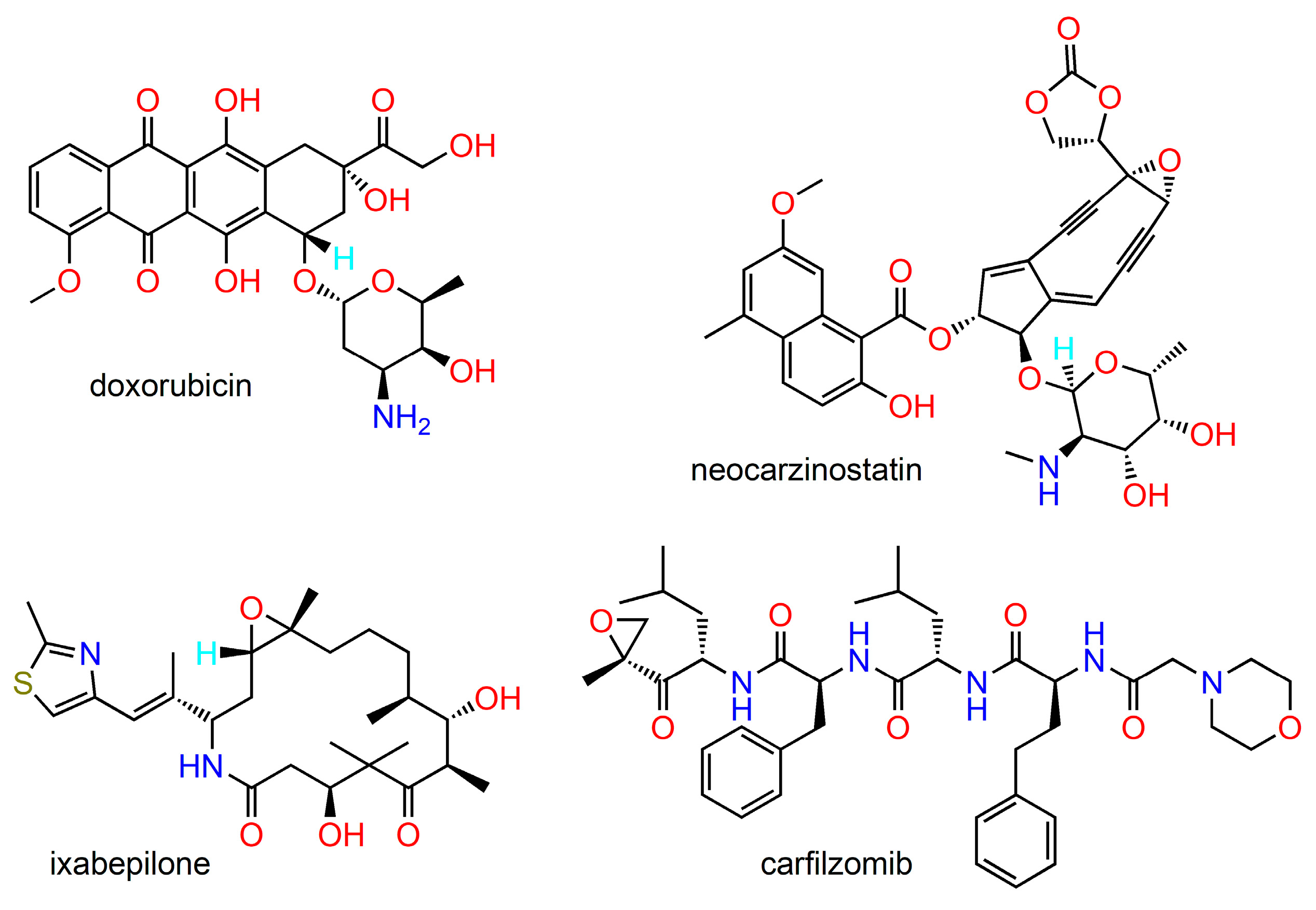 Ijms 24 05679 g002 Ijms 24 05679 g002