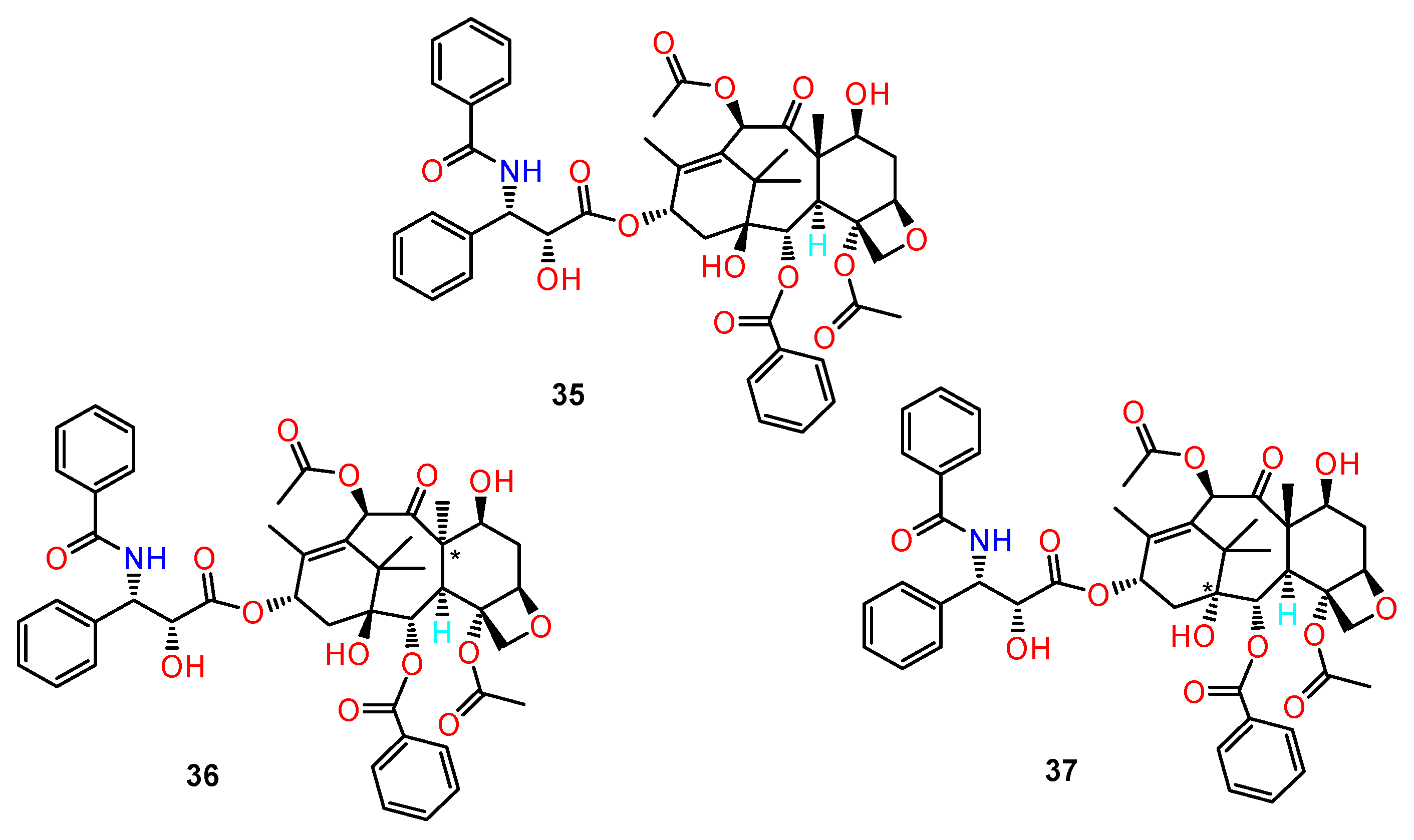 Ijms 24 05679 g016 Ijms 24 05679 g016