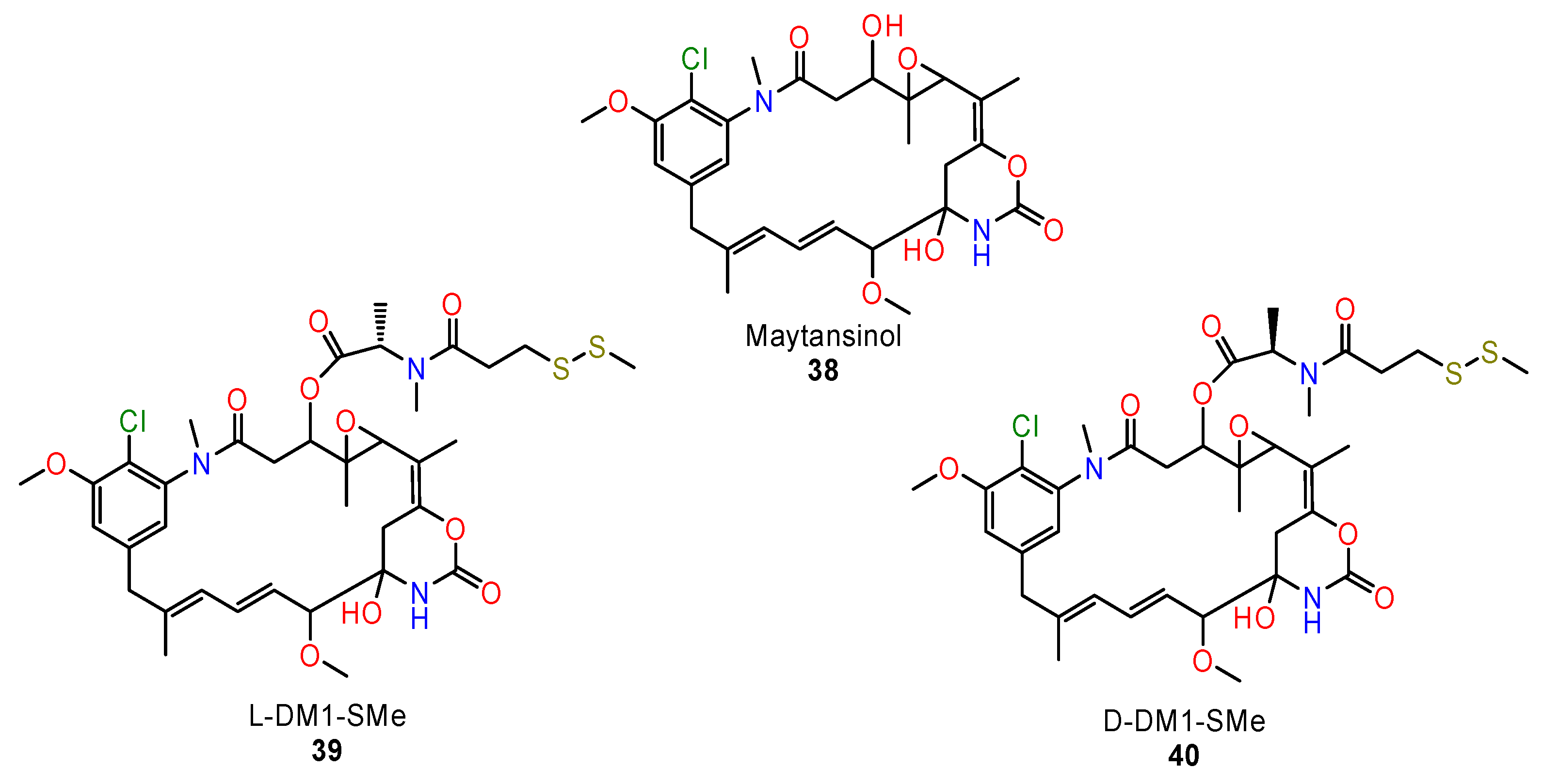Ijms 24 05679 g017 Ijms 24 05679 g017