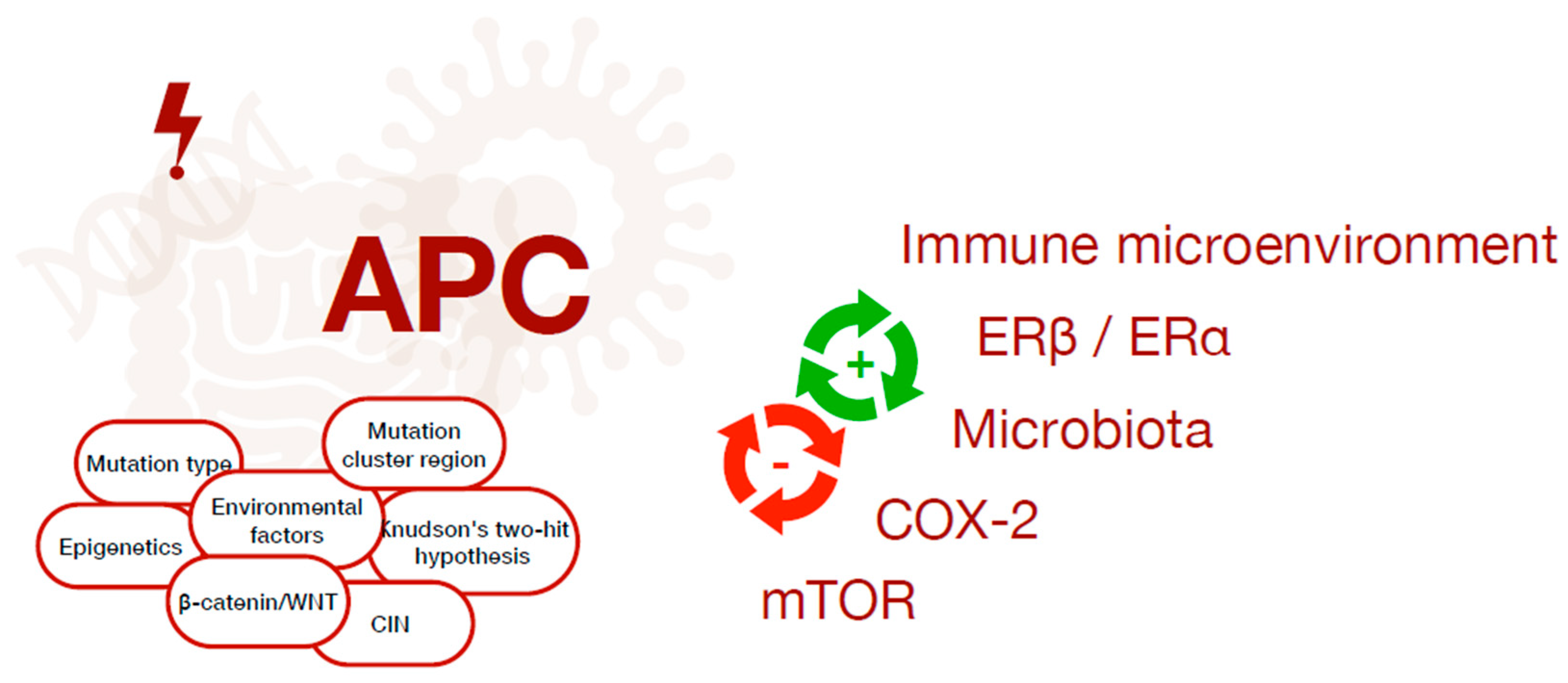 Ijms 24 05687 g002 Ijms 24 05687 g002