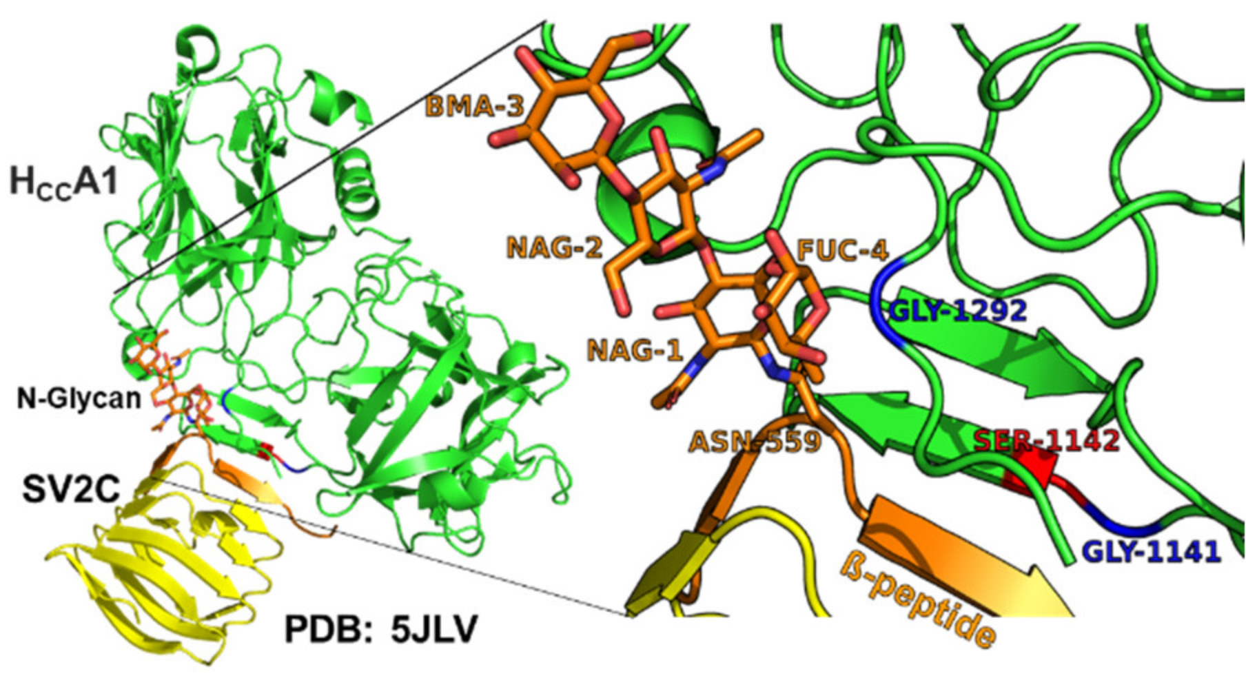 Ijms 24 05690 g002 Ijms 24 05690 g002