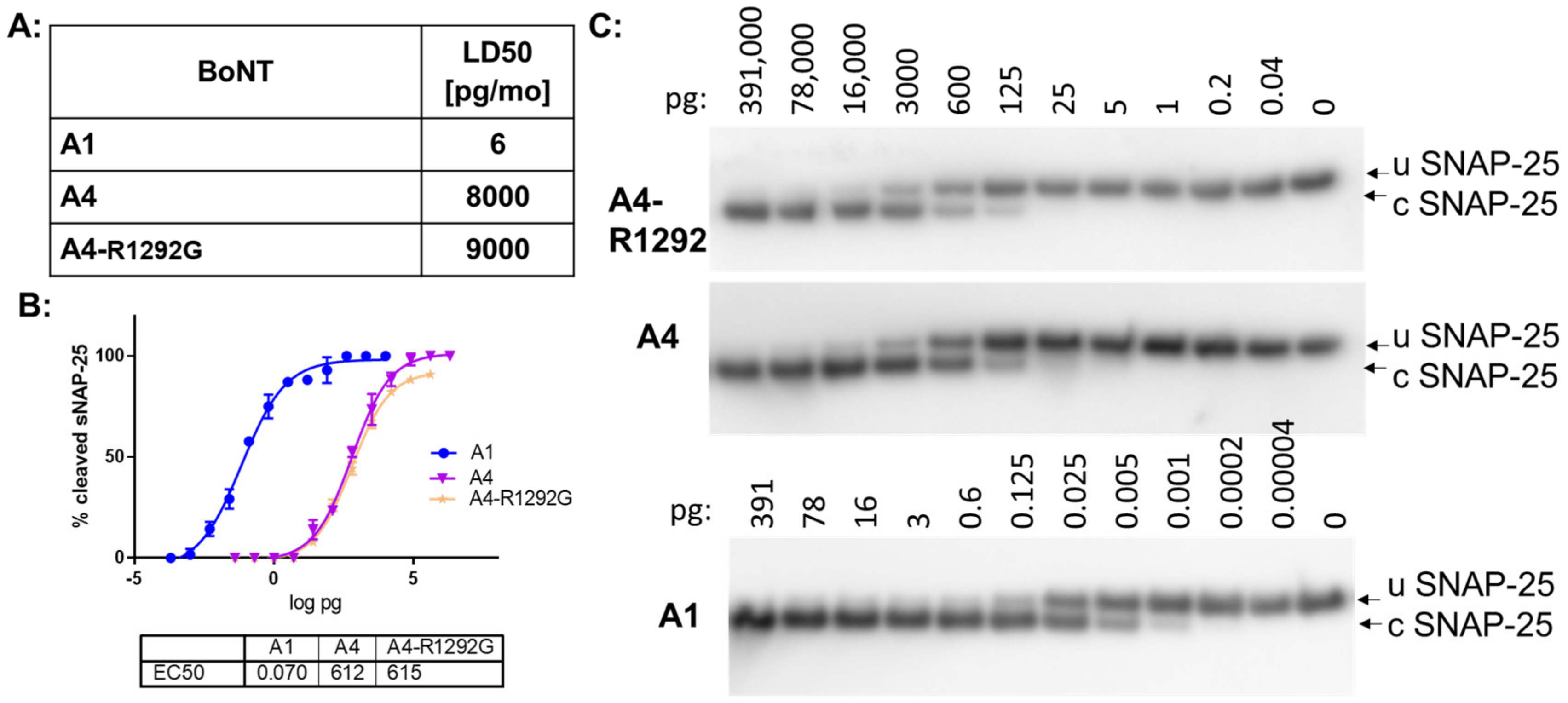 Ijms 24 05690 g003 Ijms 24 05690 g003