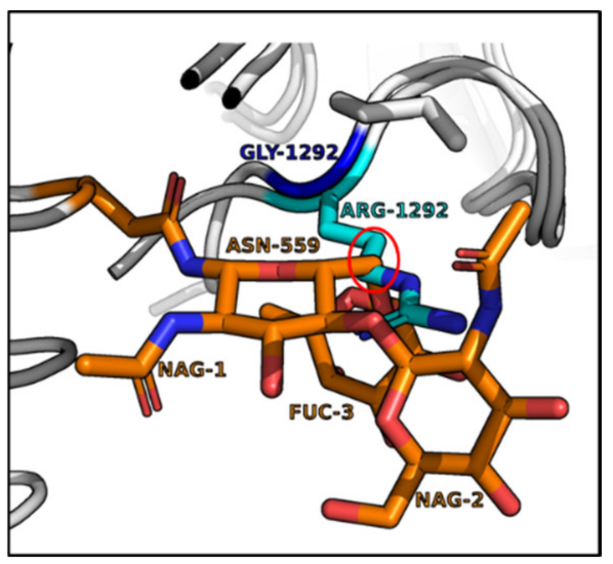 Ijms 24 05690 g006 Ijms 24 05690 g006