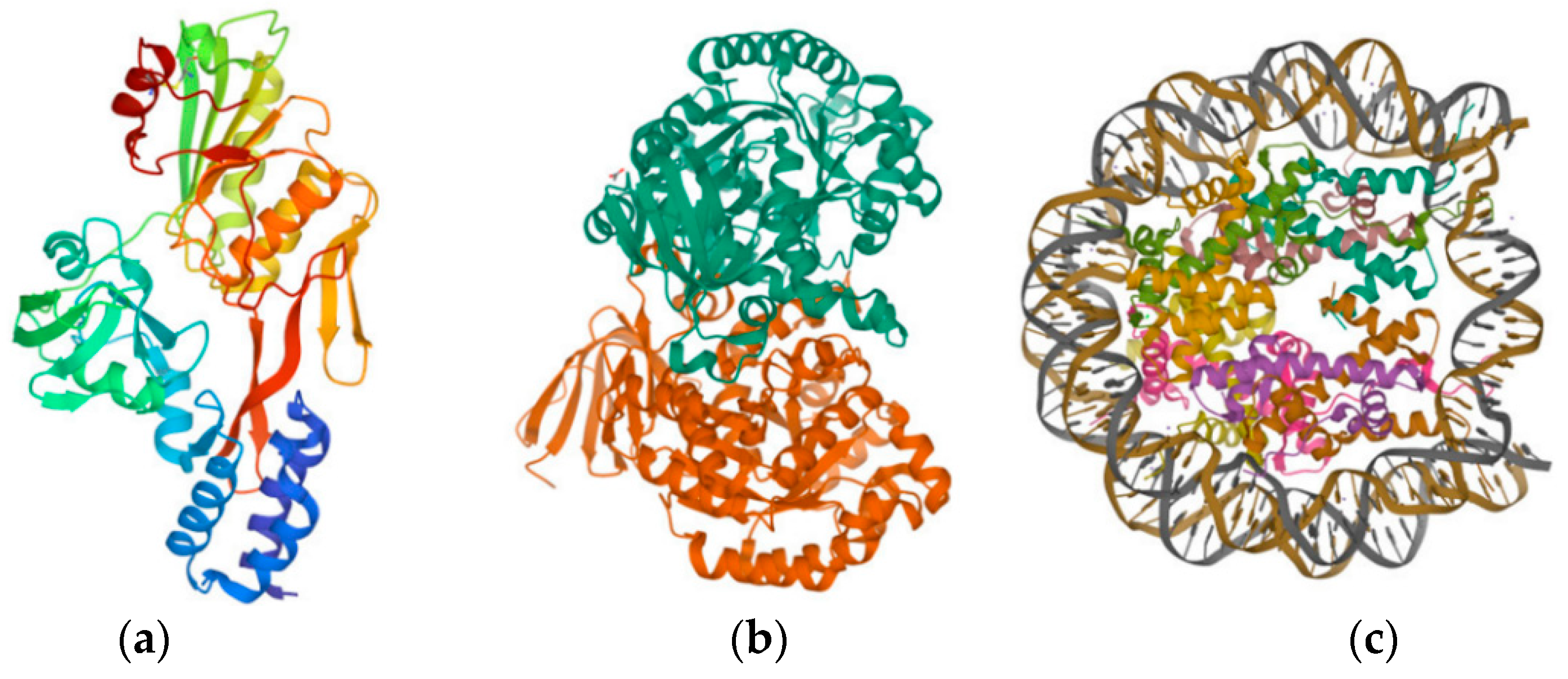 Ijms 24 05691 g004 Ijms 24 05691 g004