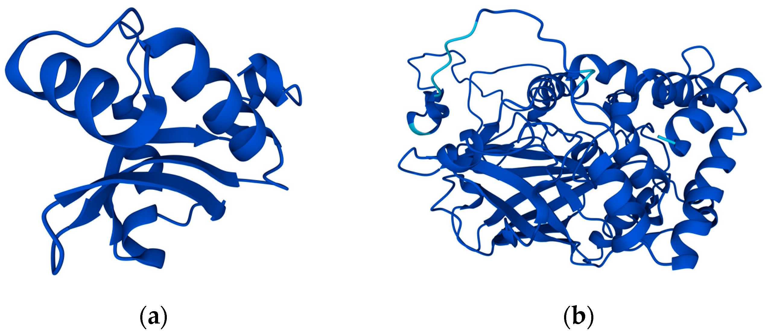 Ijms 24 05691 g006 Ijms 24 05691 g006