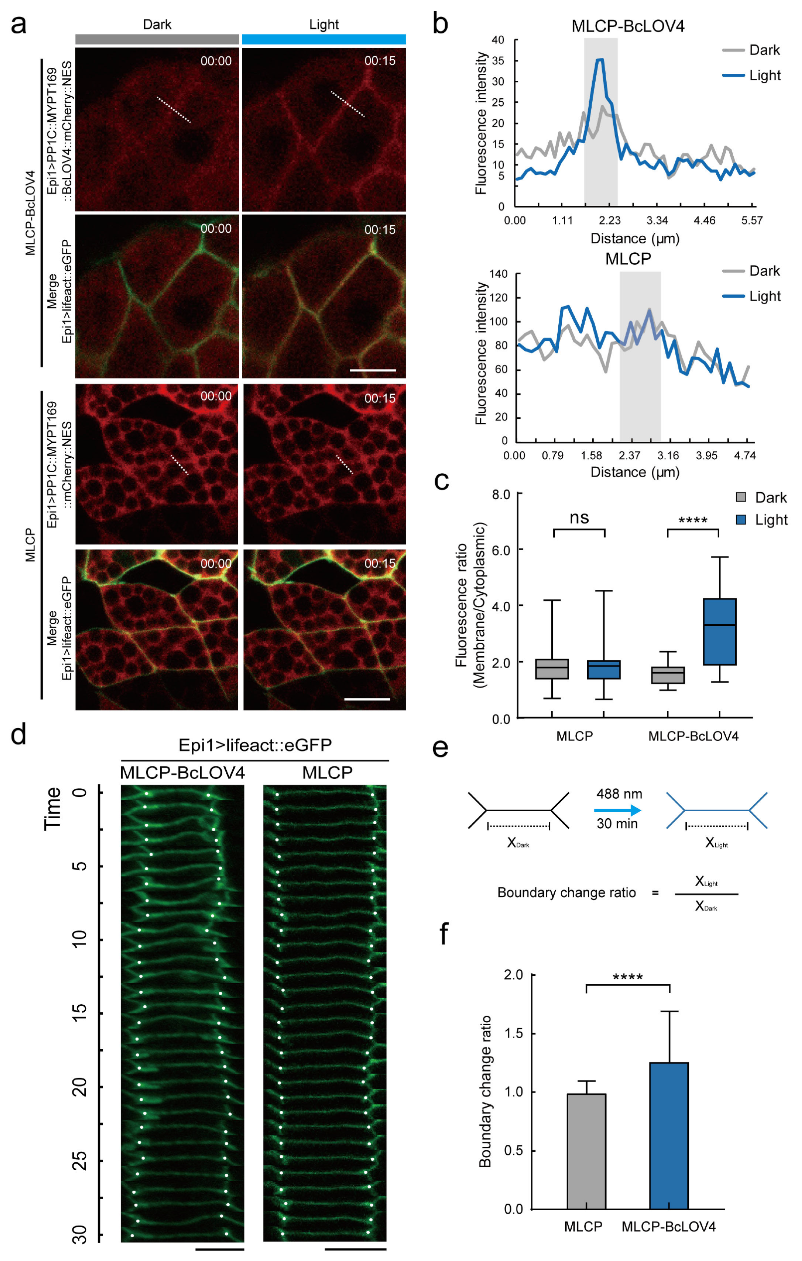 Ijms 24 05707 g003 Ijms 24 05707 g003