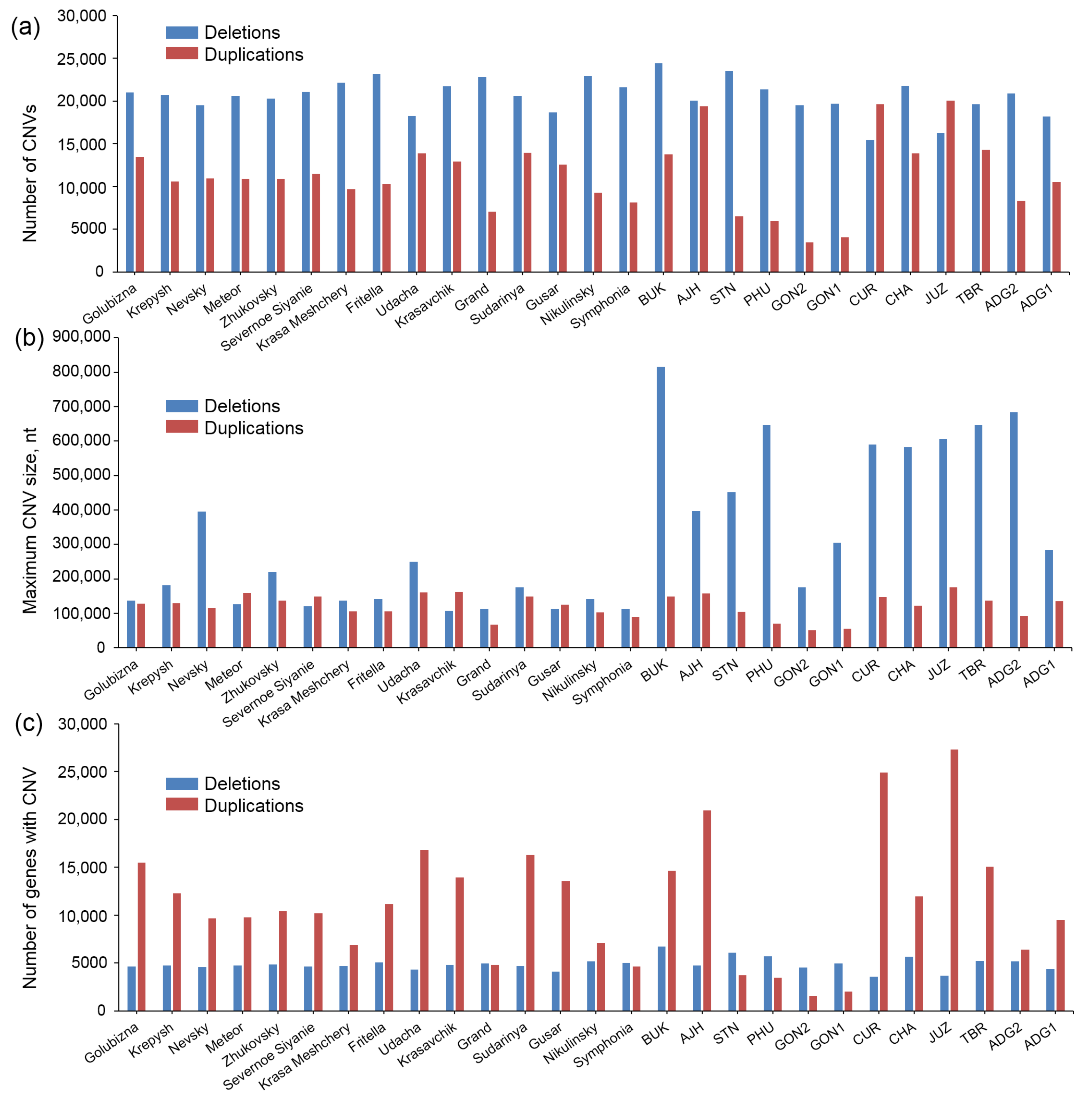 Ijms 24 05713 g004 Ijms 24 05713 g004