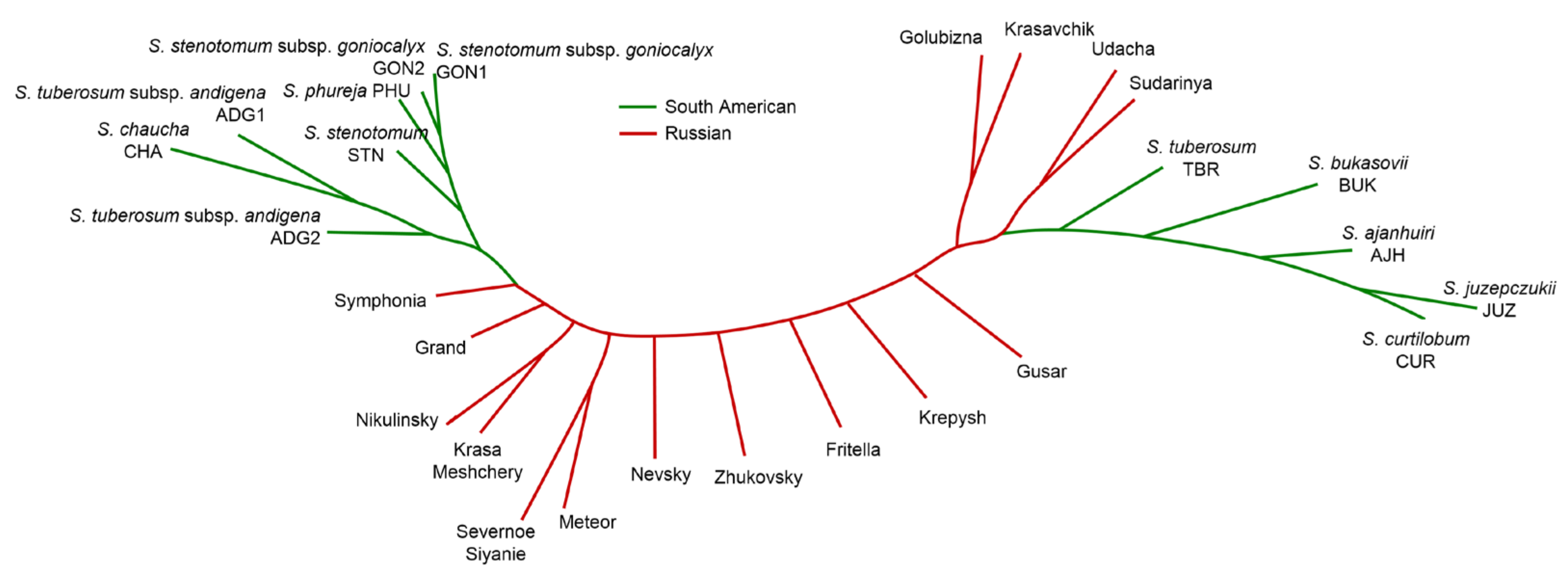 Ijms 24 05713 g006 Ijms 24 05713 g006