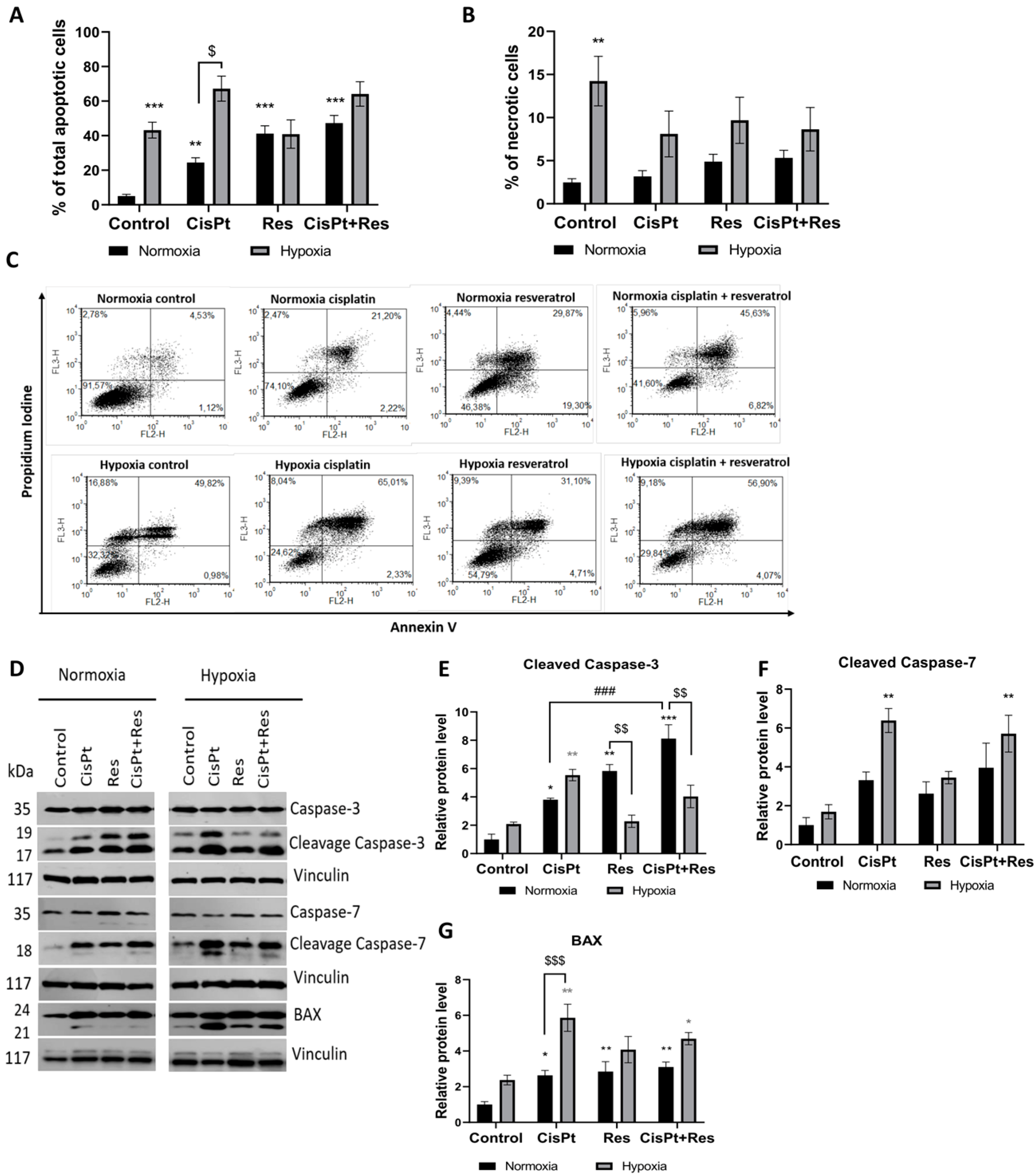 Ijms 24 05715 g003 Ijms 24 05715 g003