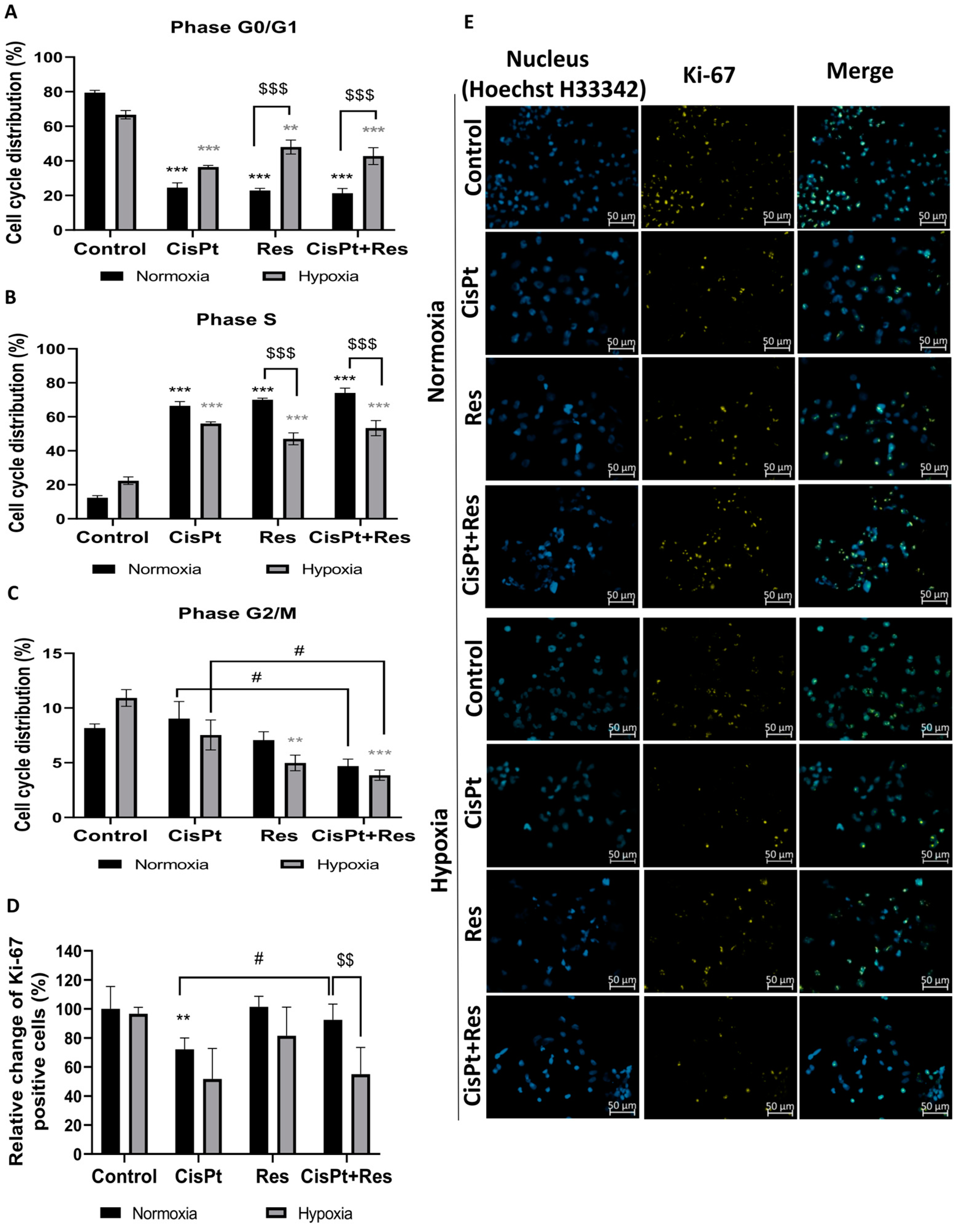 Ijms 24 05715 g004 Ijms 24 05715 g004