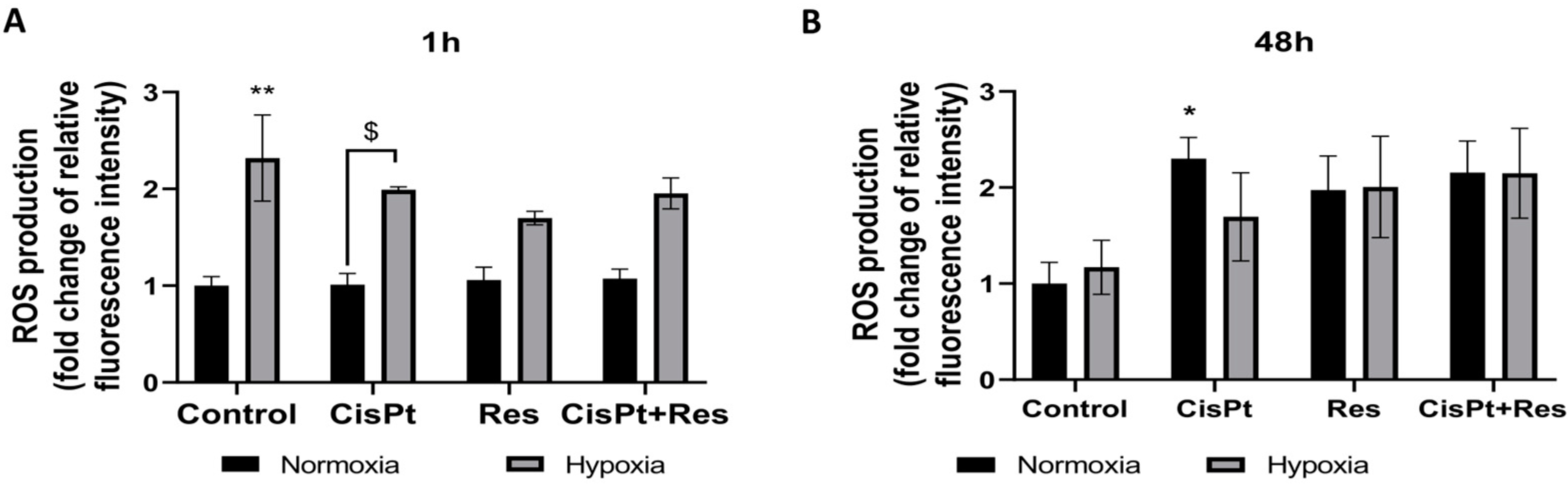 Ijms 24 05715 g005 Ijms 24 05715 g005
