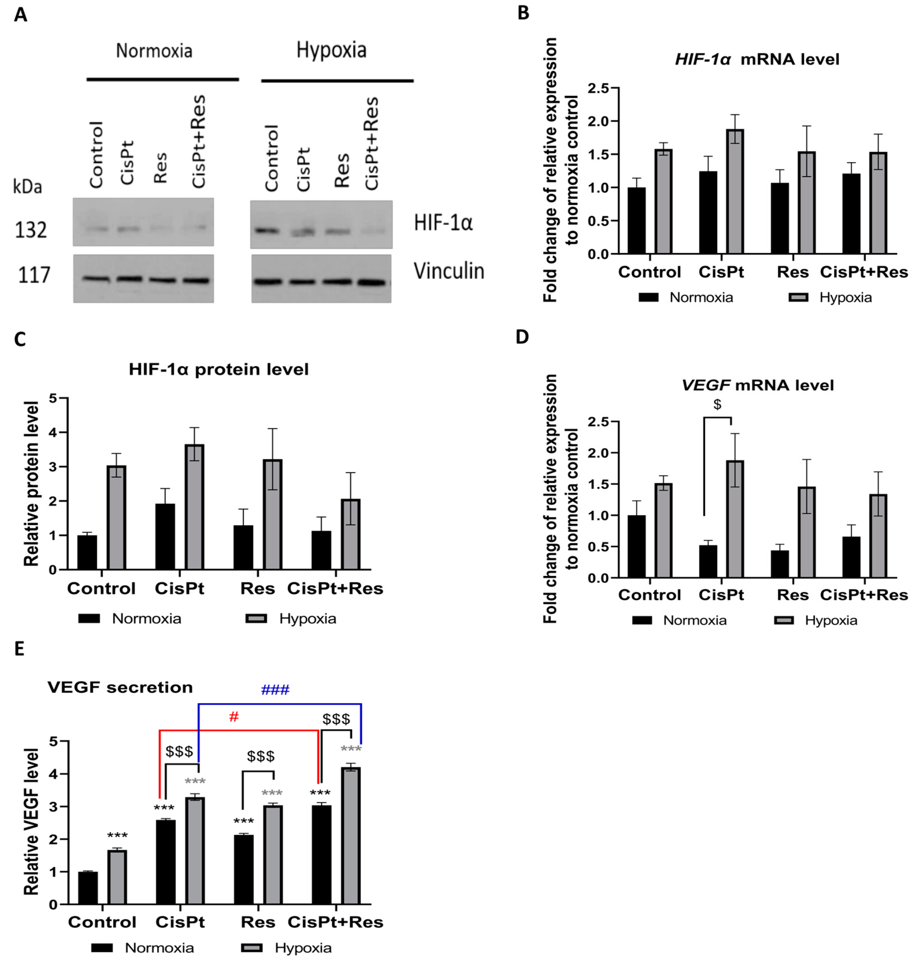 Ijms 24 05715 g006 Ijms 24 05715 g006