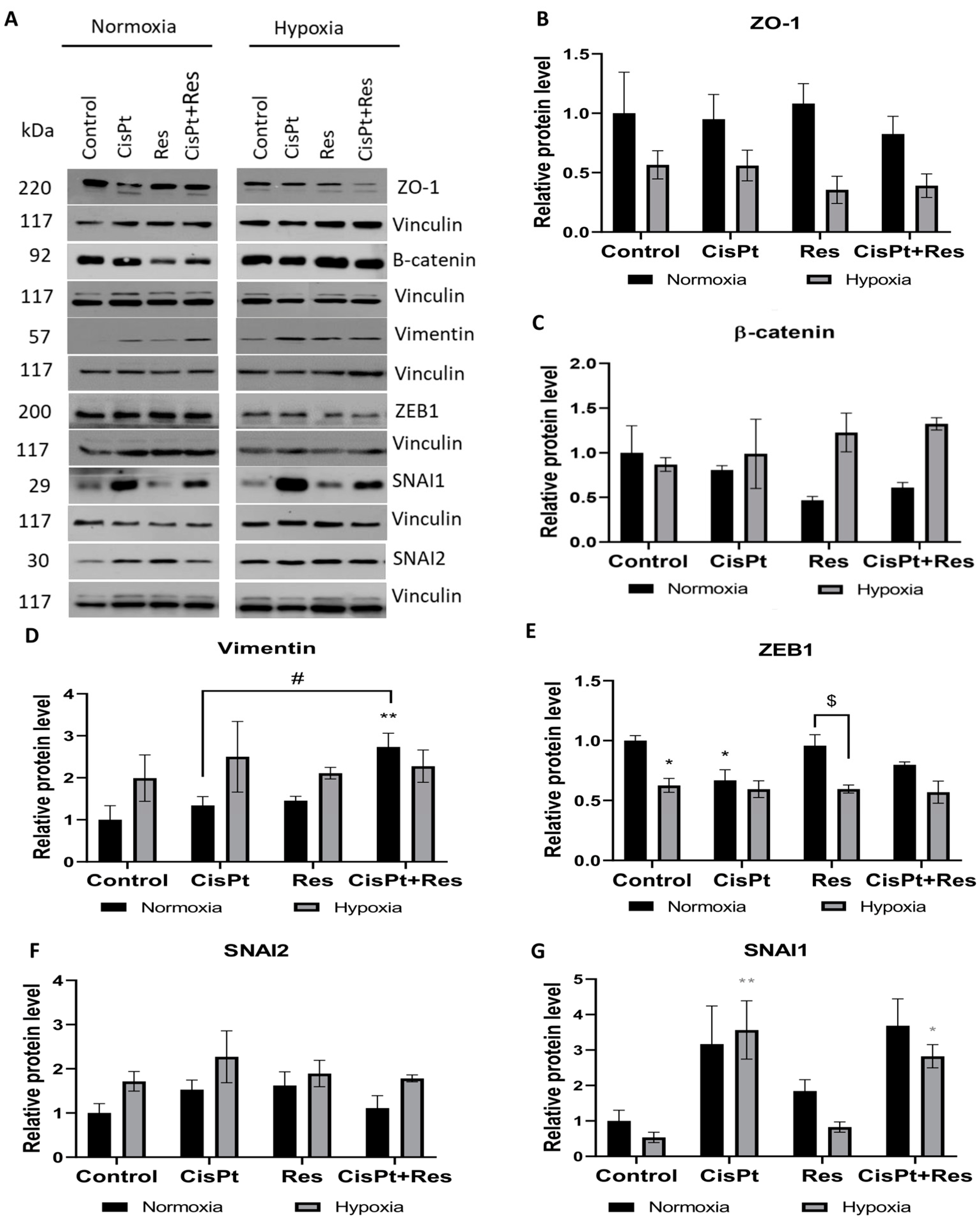Ijms 24 05715 g007 Ijms 24 05715 g007