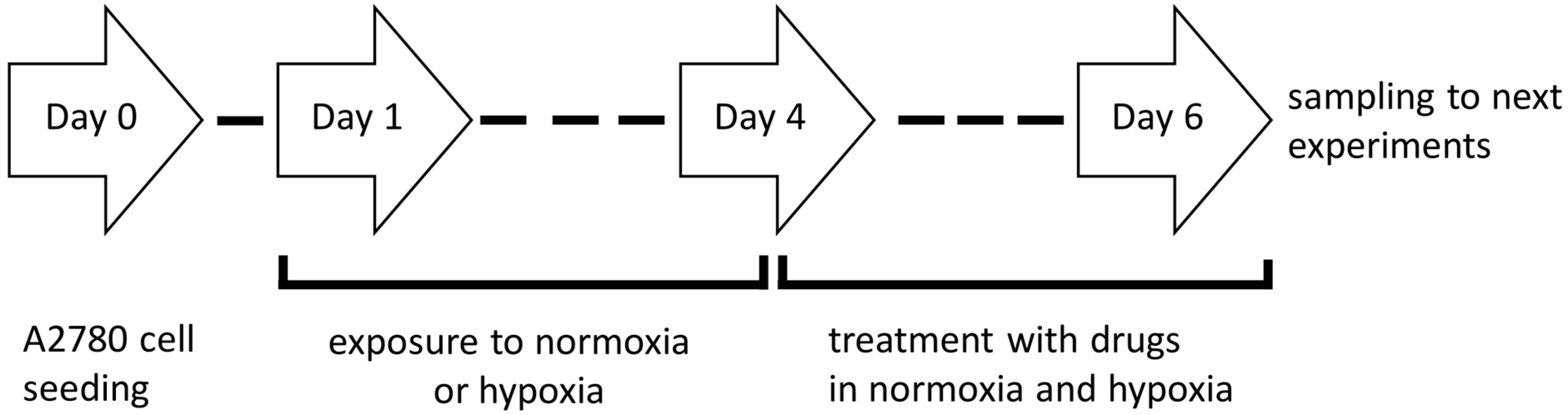 Ijms 24 05715 g009 Ijms 24 05715 g009