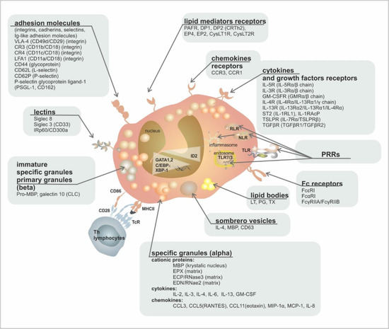 Ijms 24 05716 g002 550
