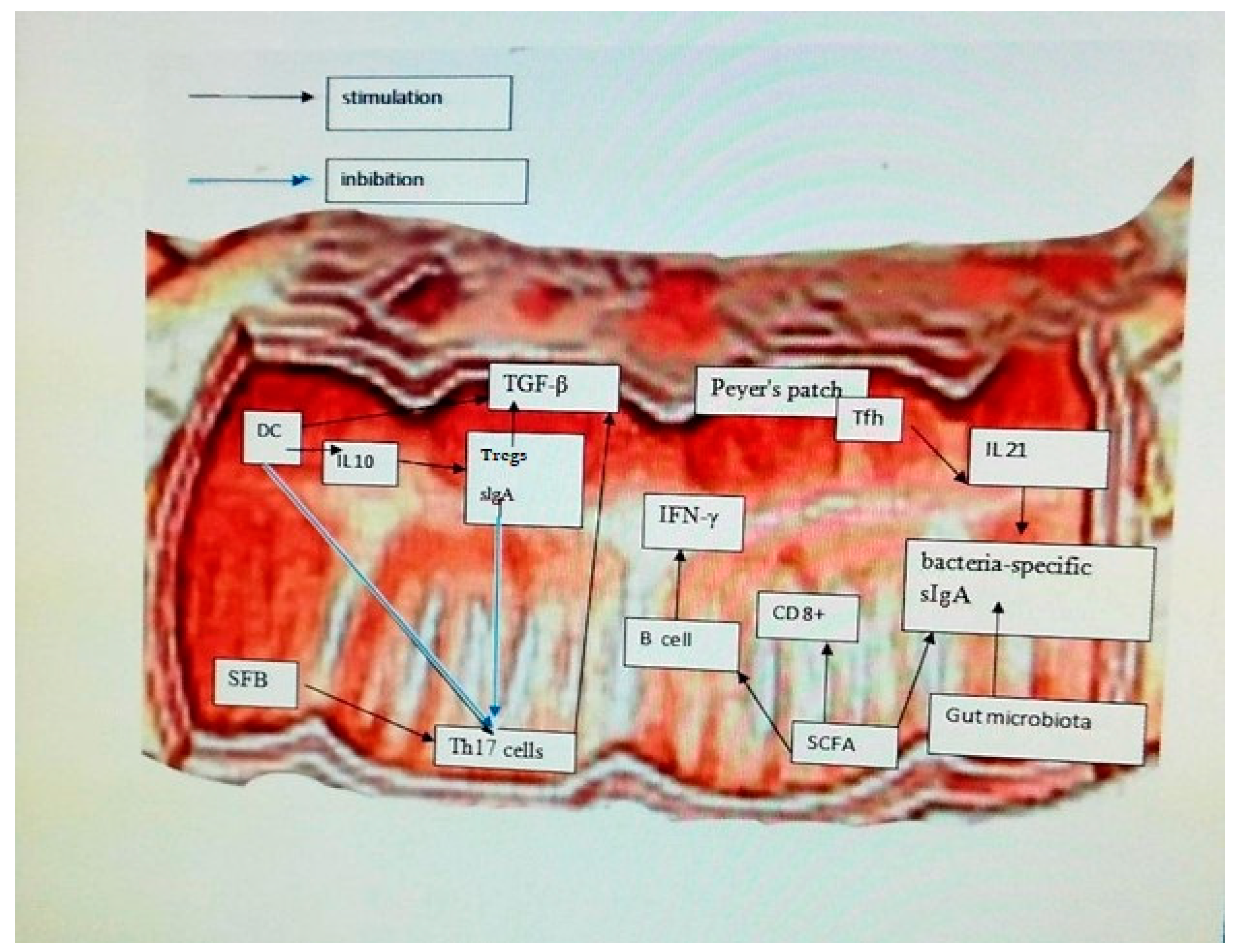 Ijms 24 05723 g002 Ijms 24 05723 g002
