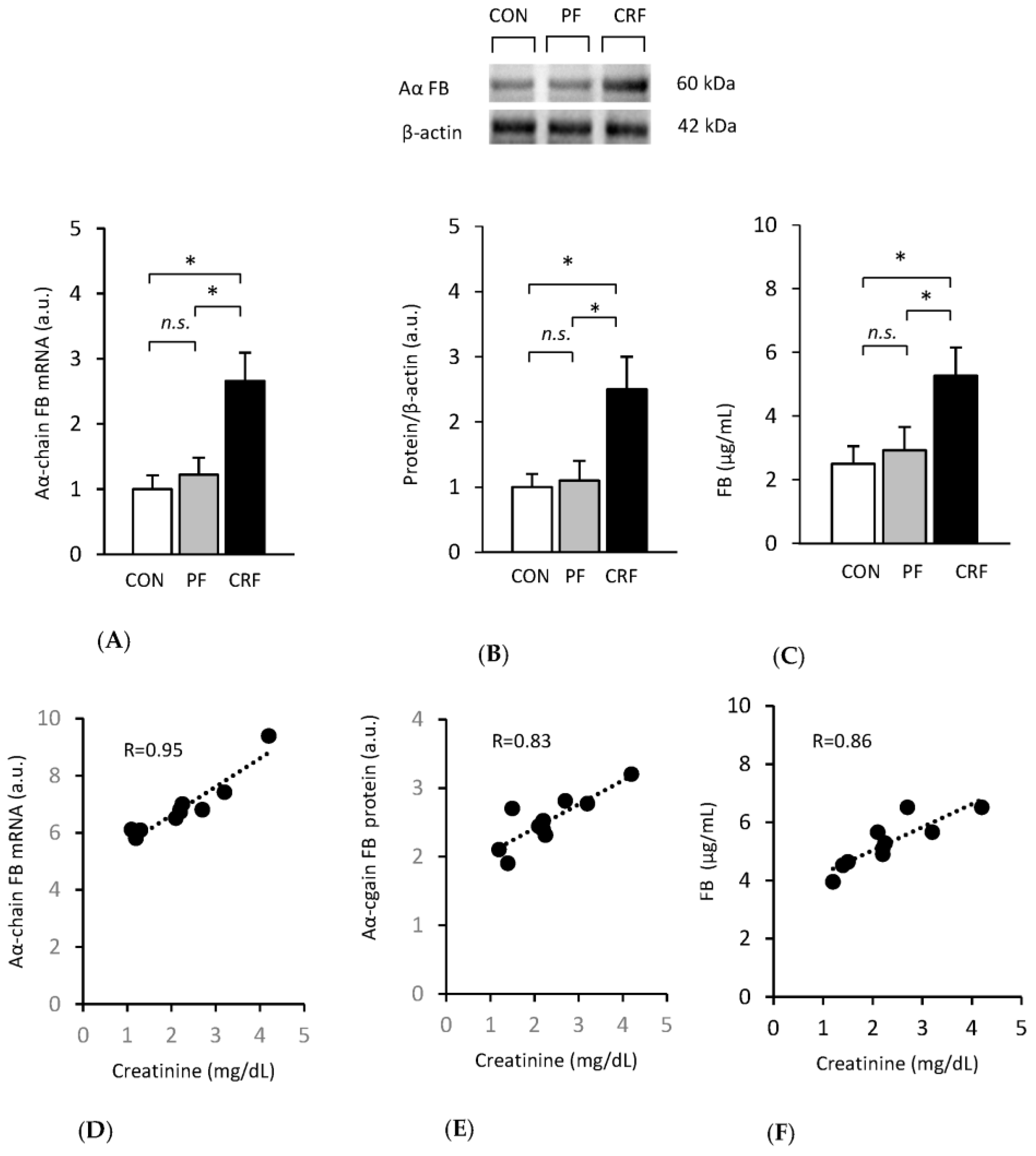 Ijms 24 05733 g002 Ijms 24 05733 g002