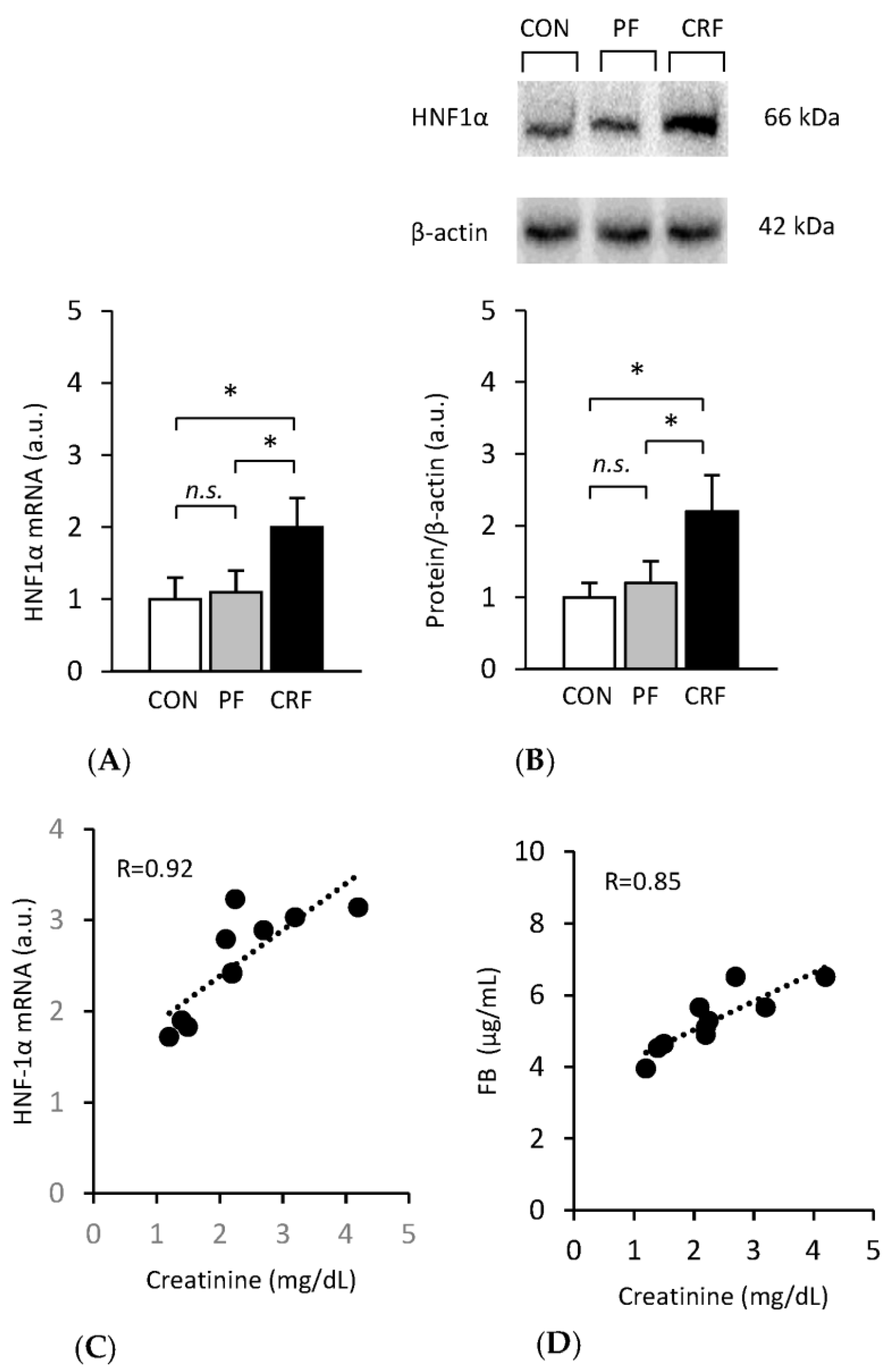 Ijms 24 05733 g003 Ijms 24 05733 g003