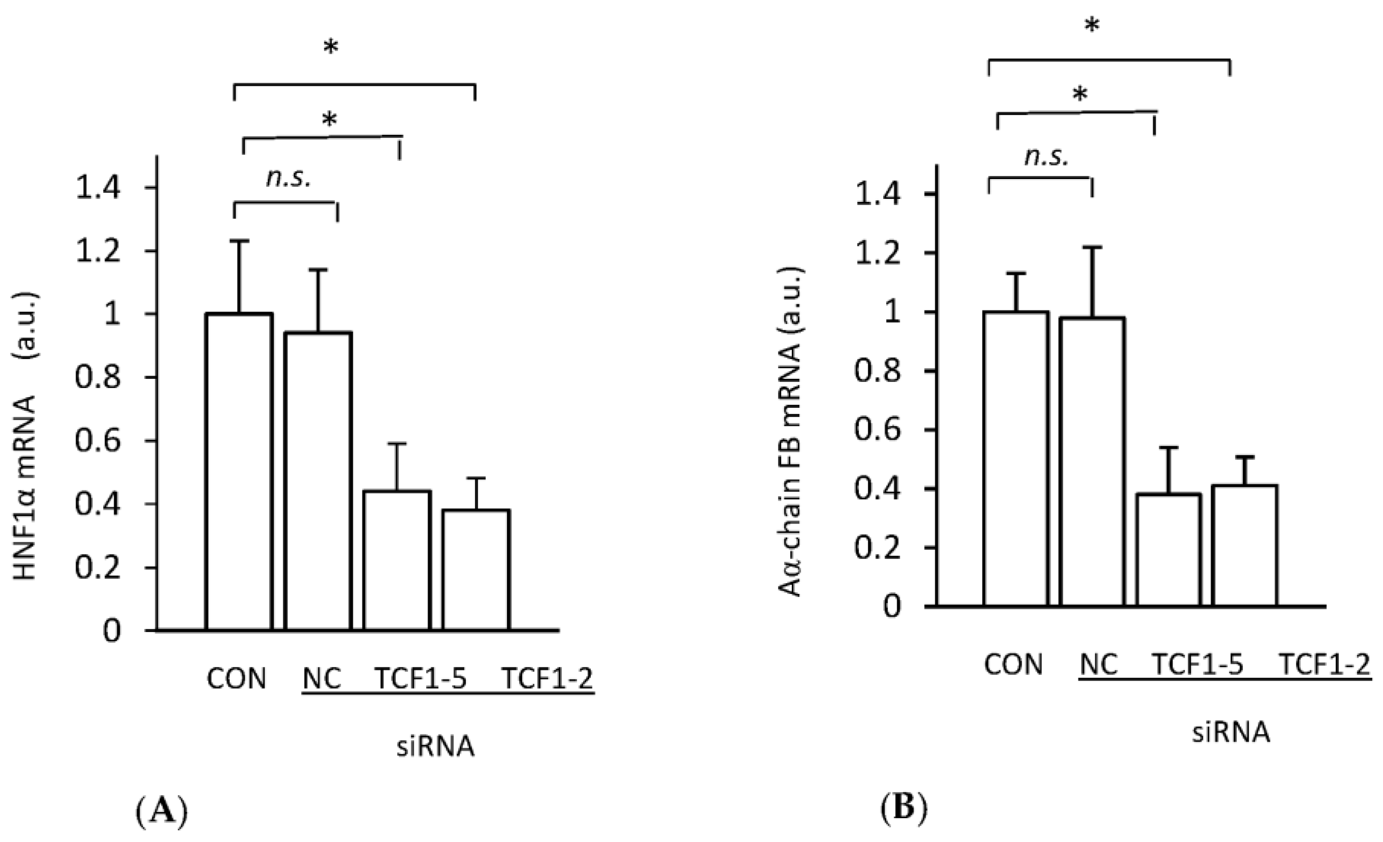 Ijms 24 05733 g004 Ijms 24 05733 g004
