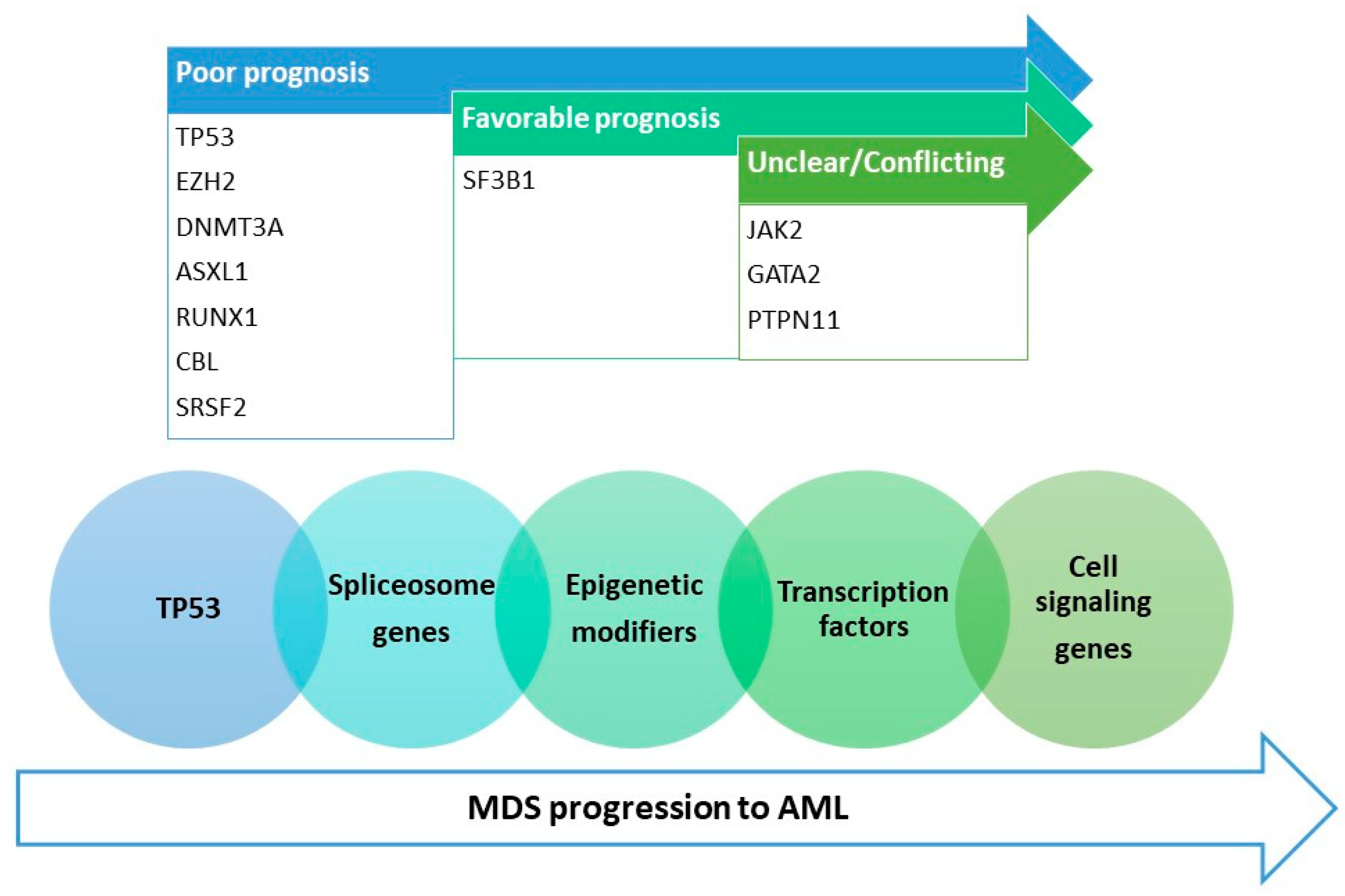 IJMS Free FullText The Landscape of Myelodysplastic