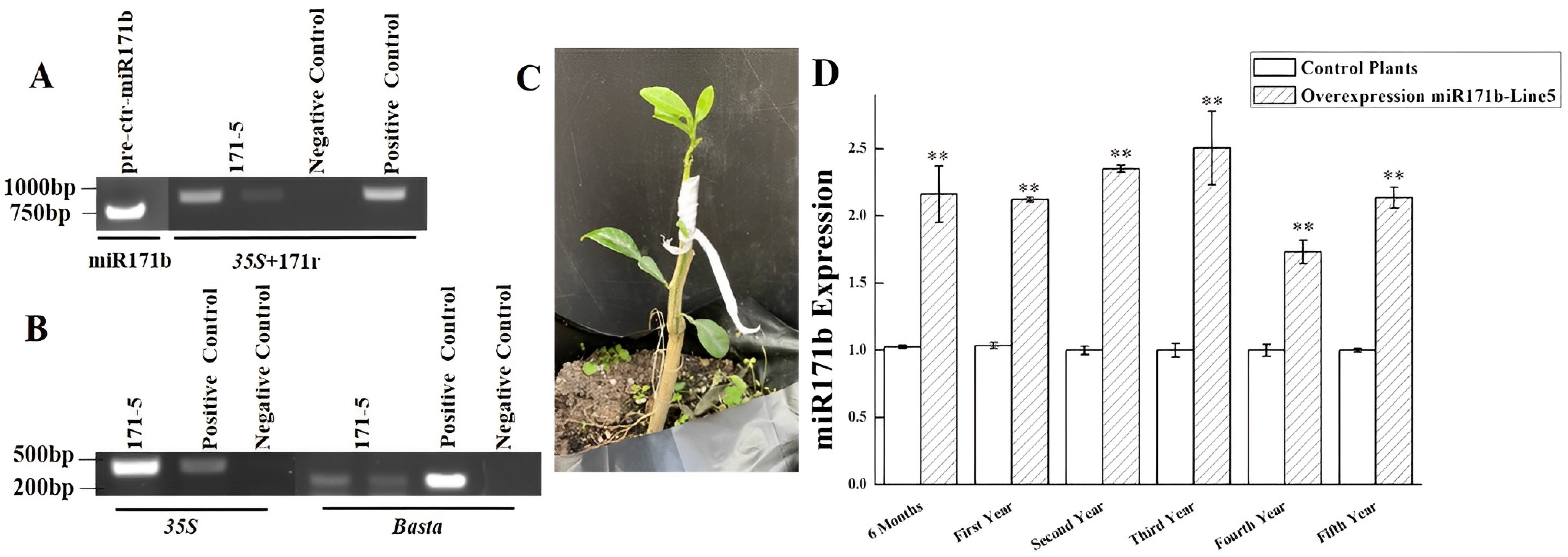 Ijms 24 05737 g001 Ijms 24 05737 g001