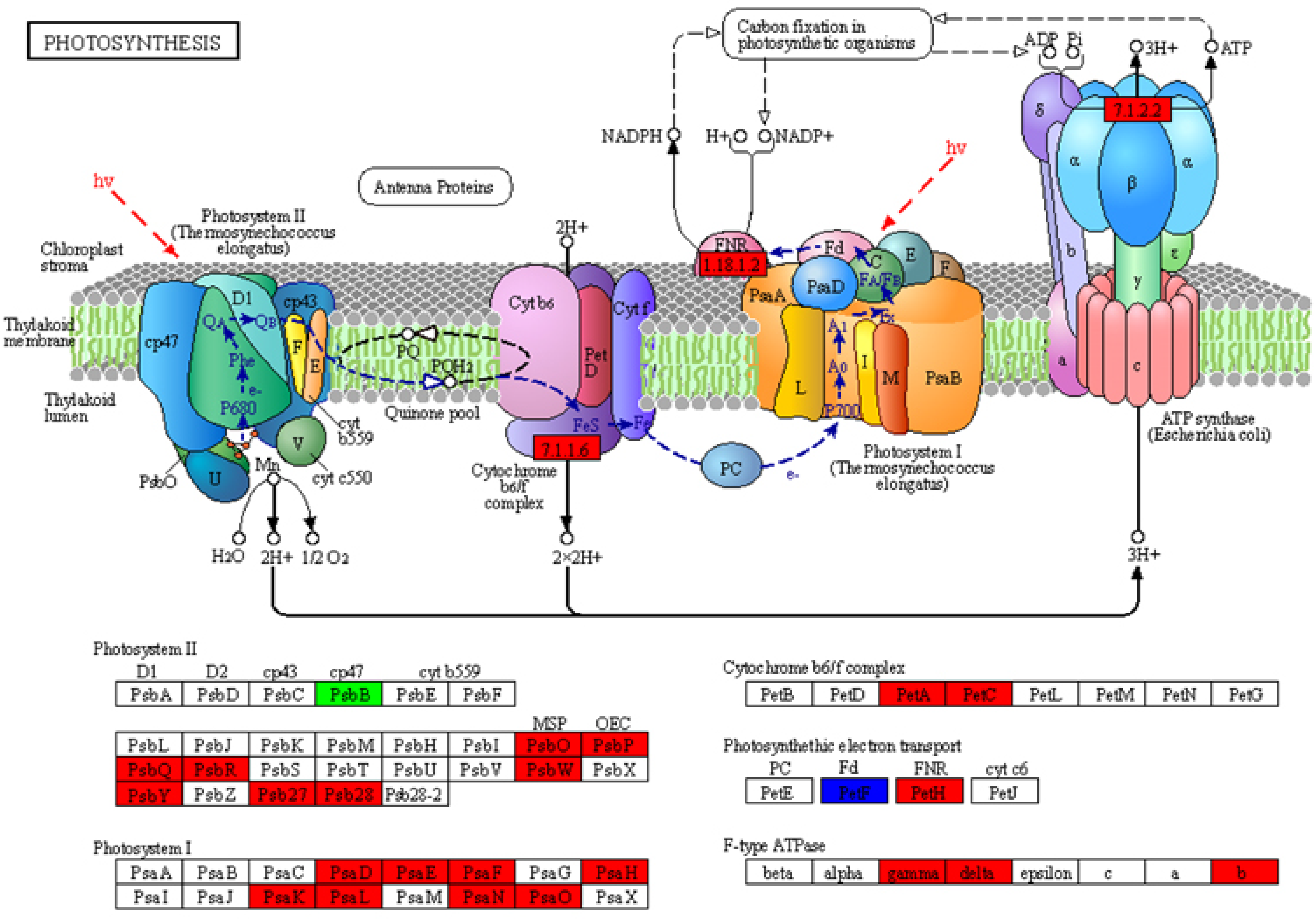 Ijms 24 05737 g006 Ijms 24 05737 g006