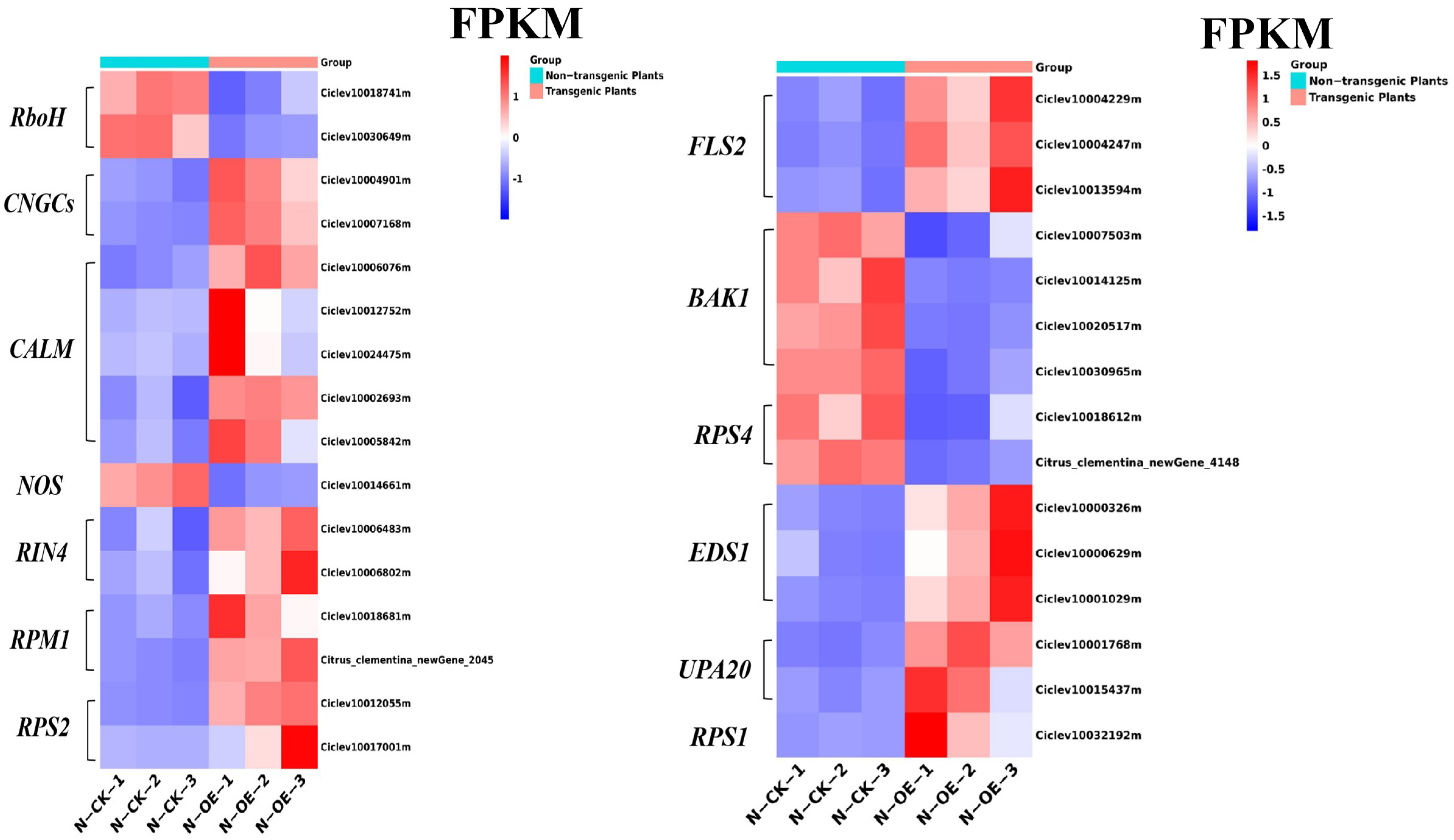 Ijms 24 05737 g008 Ijms 24 05737 g008