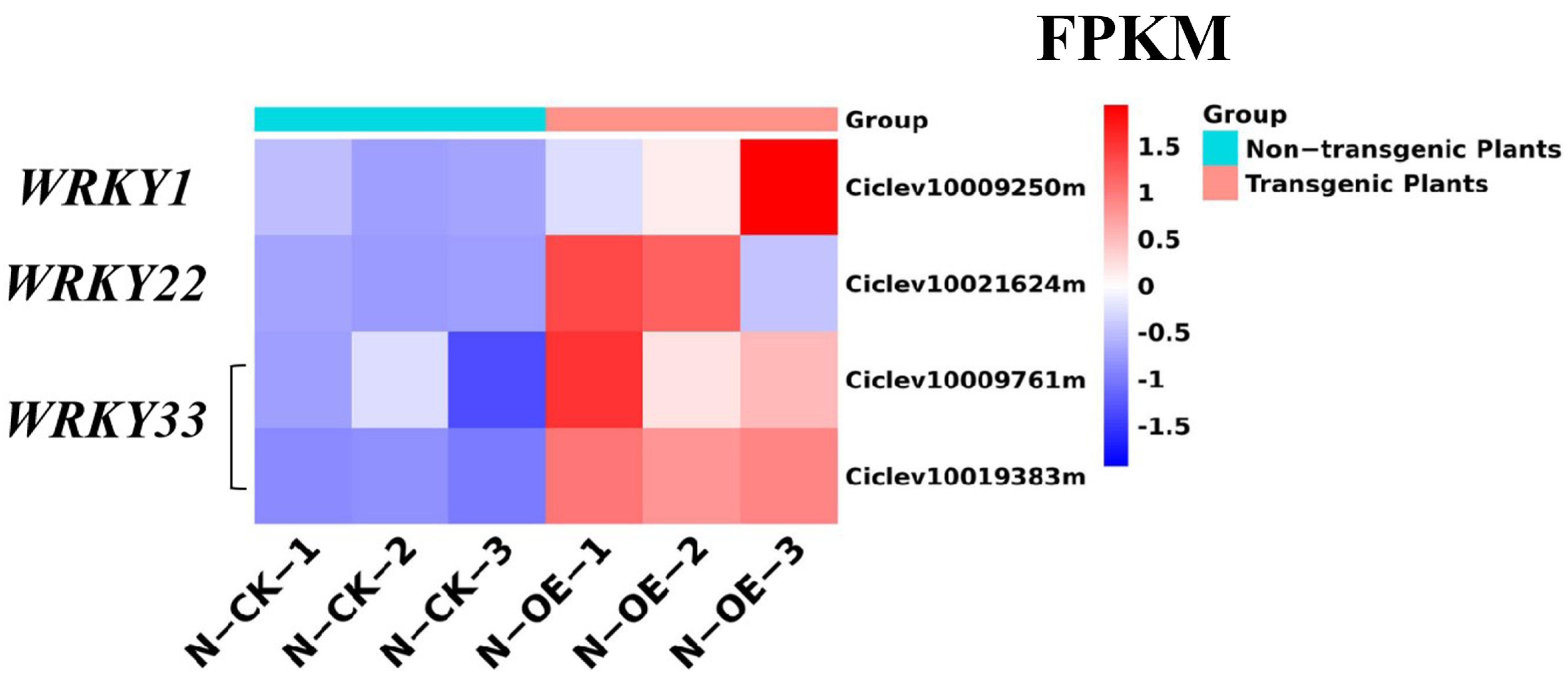 Ijms 24 05737 g010 Ijms 24 05737 g010