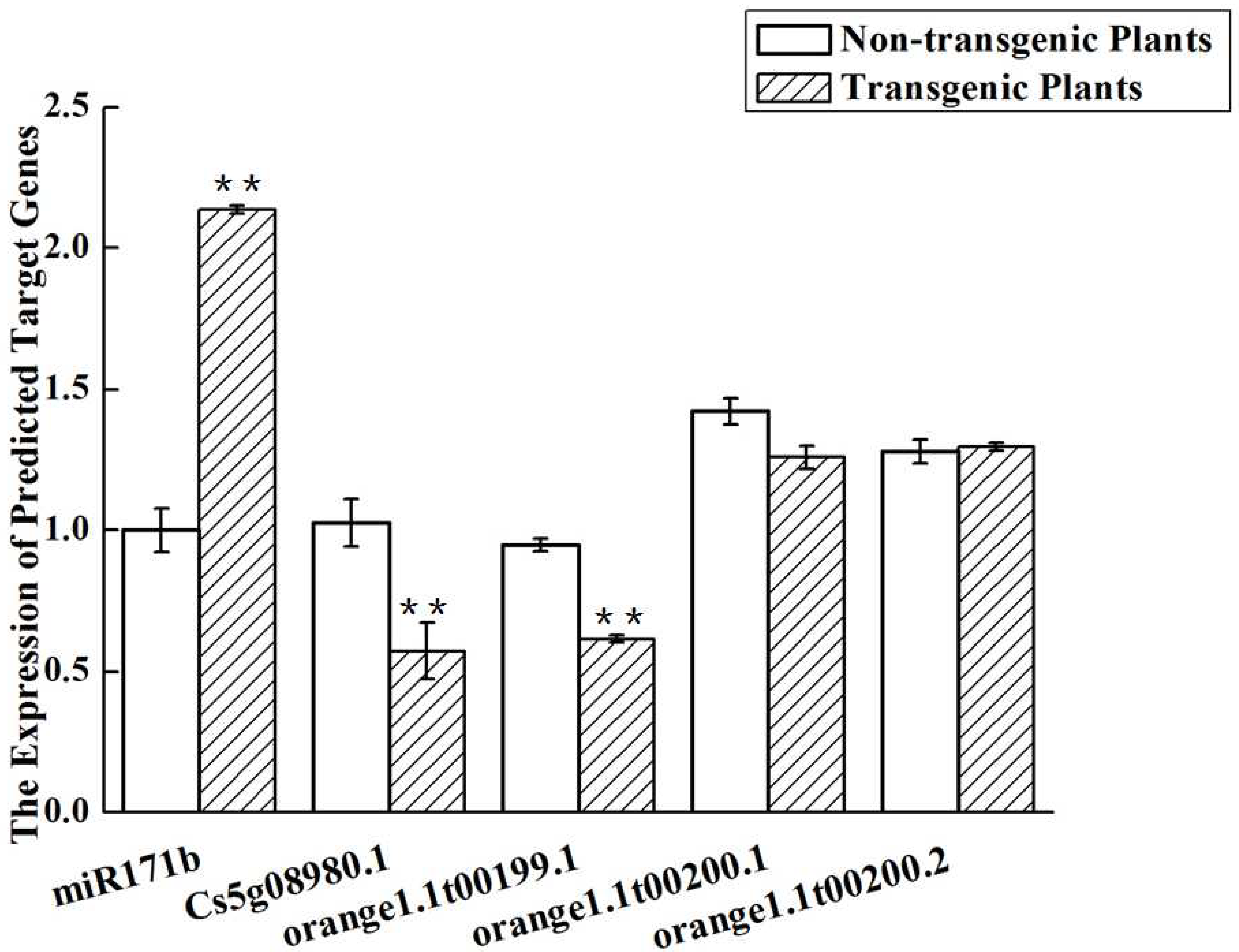 Ijms 24 05737 g012 Ijms 24 05737 g012