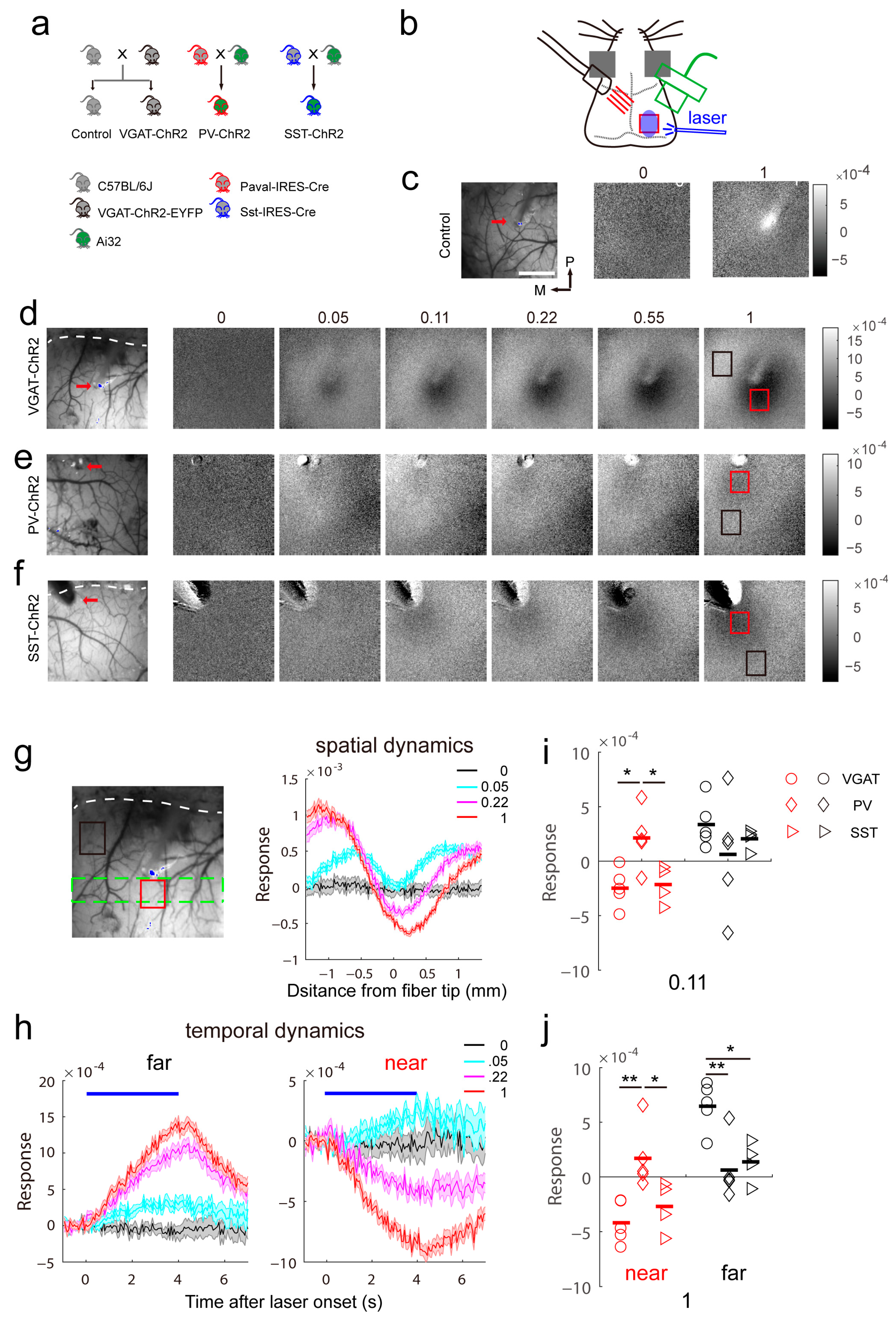 Ijms 24 05750 g001 Ijms 24 05750 g001