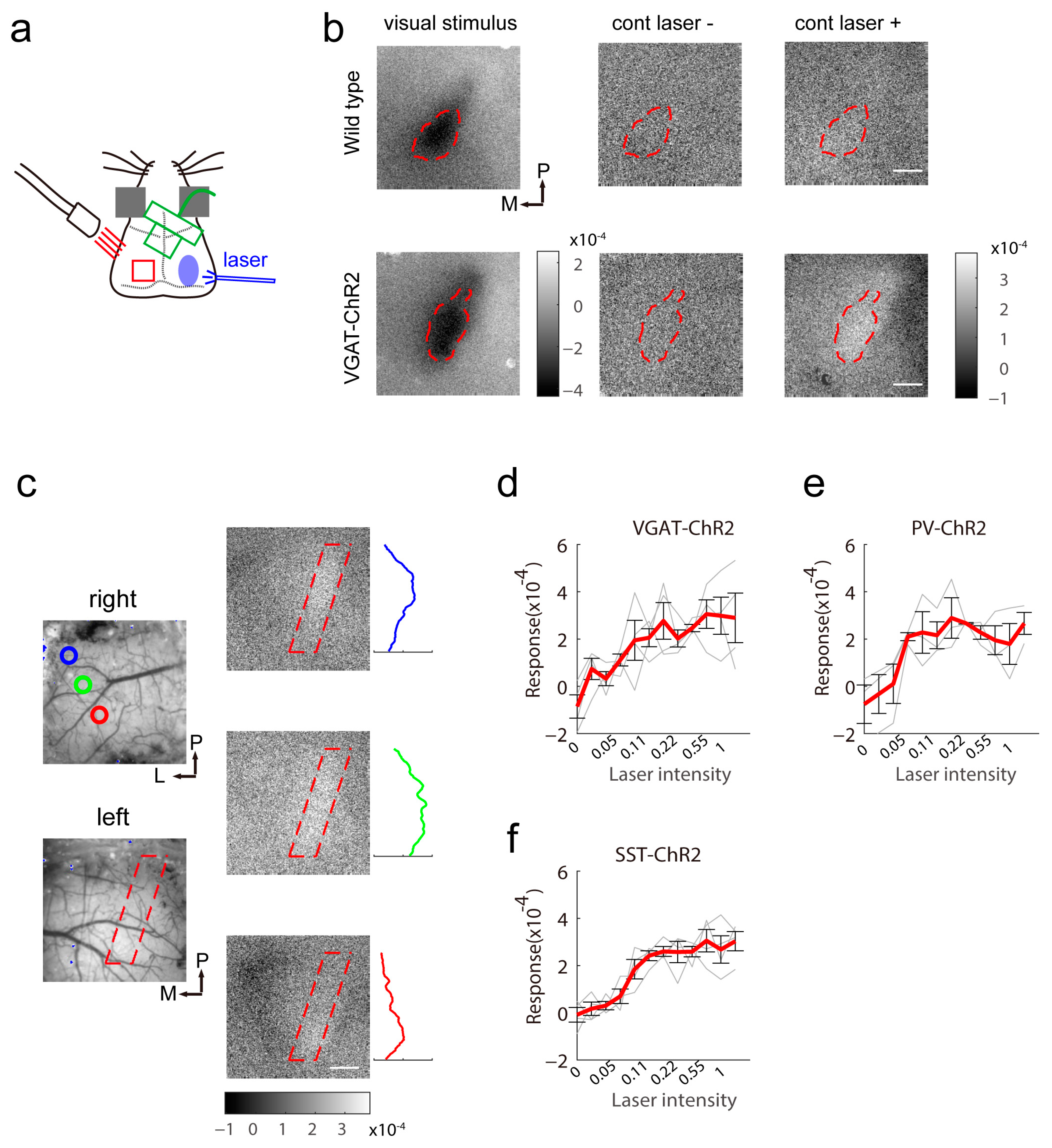 Ijms 24 05750 g002 Ijms 24 05750 g002