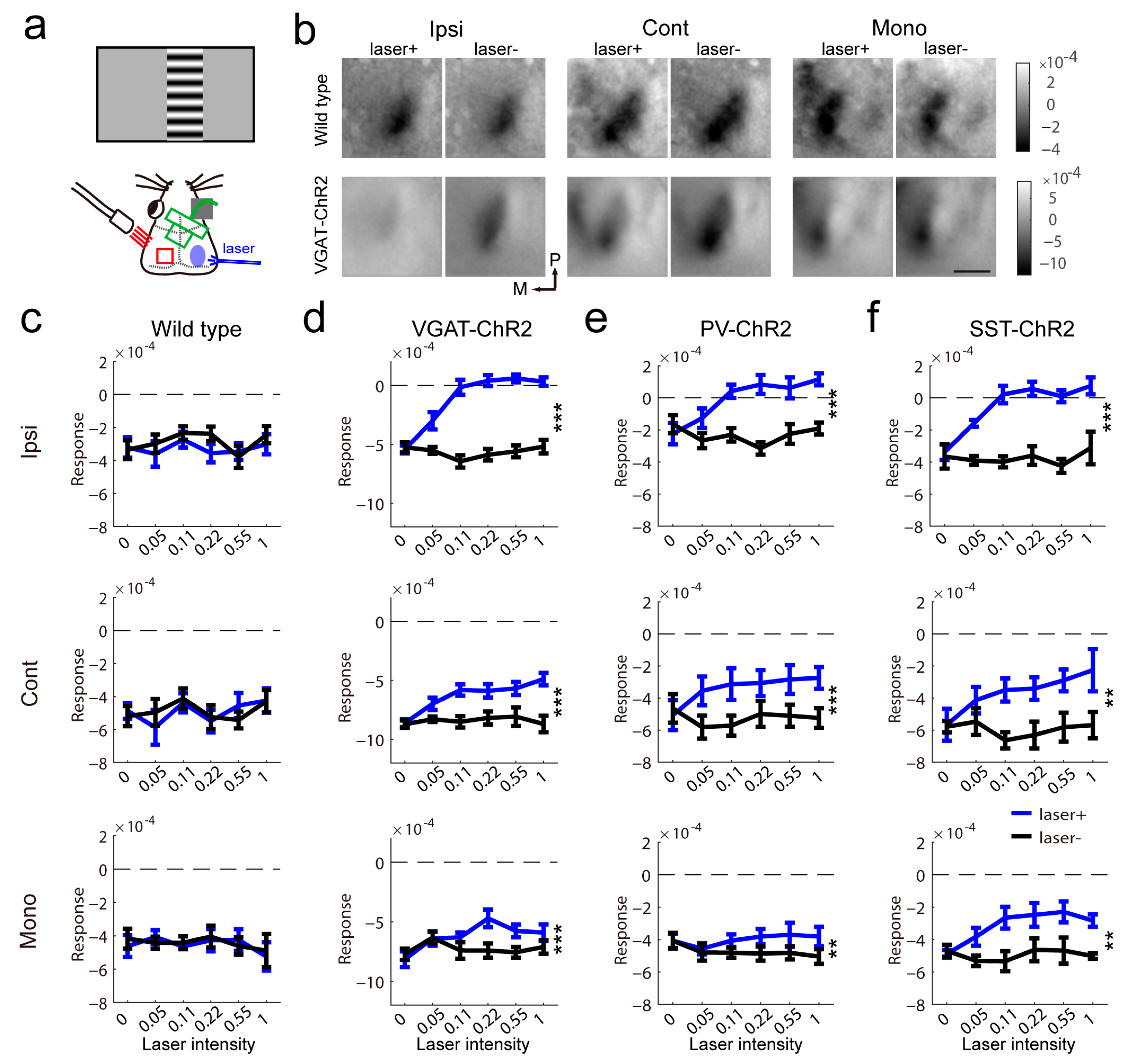 Ijms 24 05750 g003 Ijms 24 05750 g003