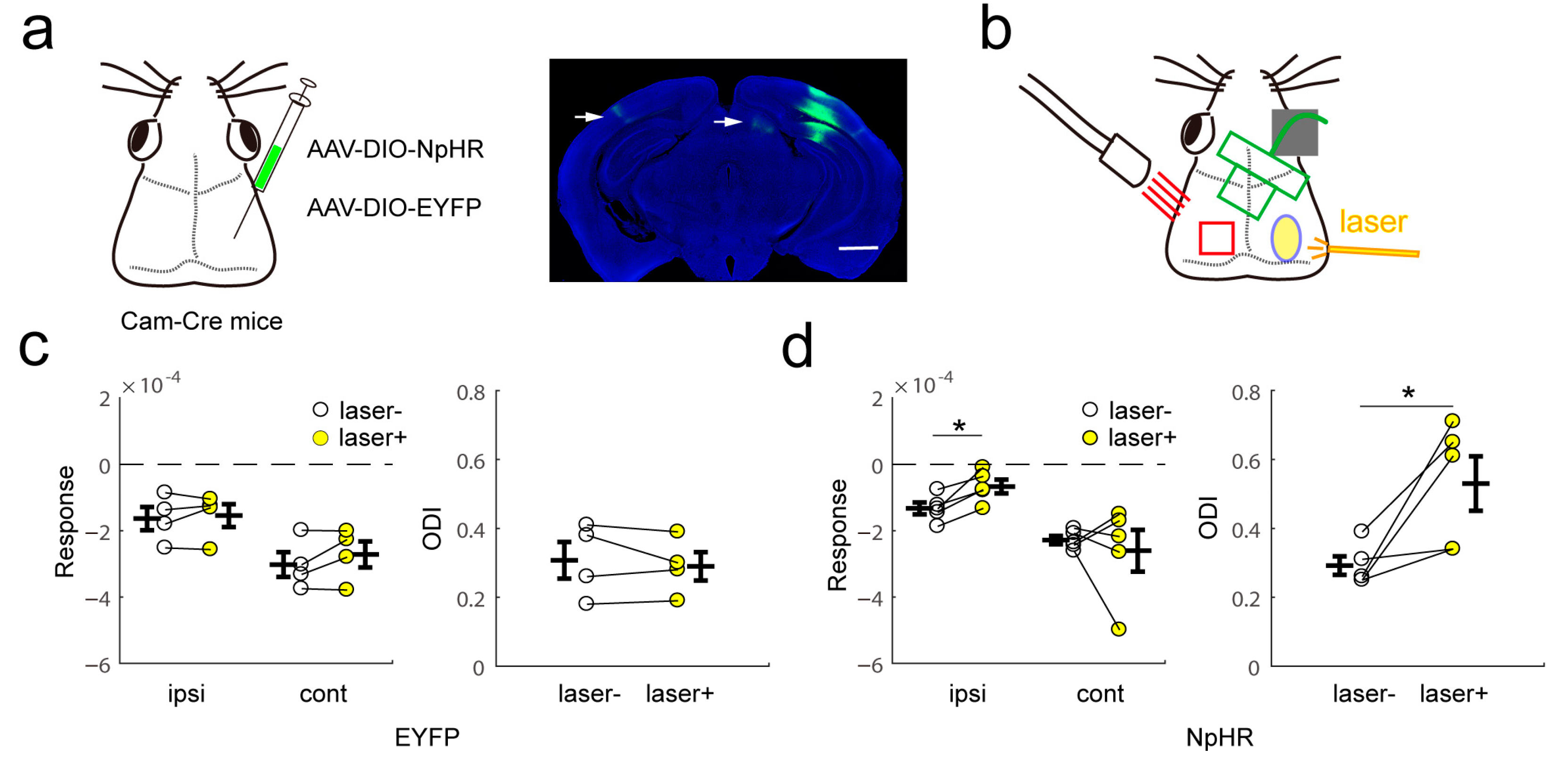 Ijms 24 05750 g006 Ijms 24 05750 g006