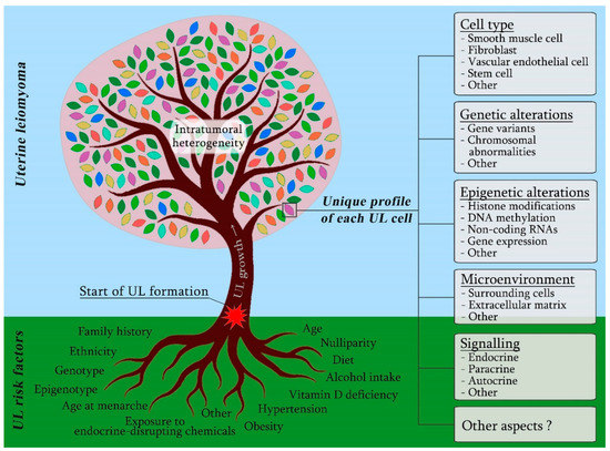 A View on Uterine Leiomyoma Genesis through the Prism of Genetic 