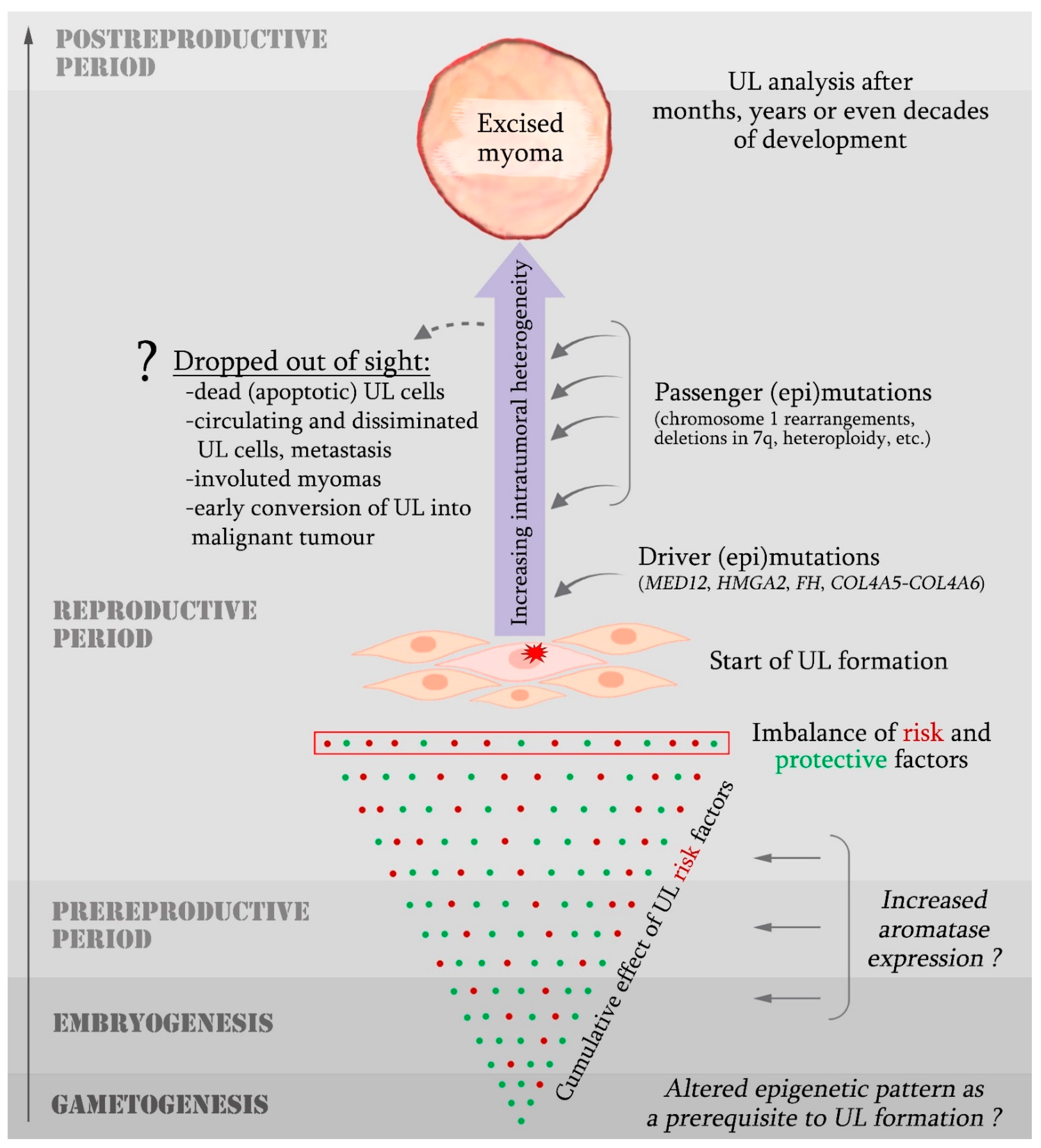 Ijms 24 05752 g002 Ijms 24 05752 g002