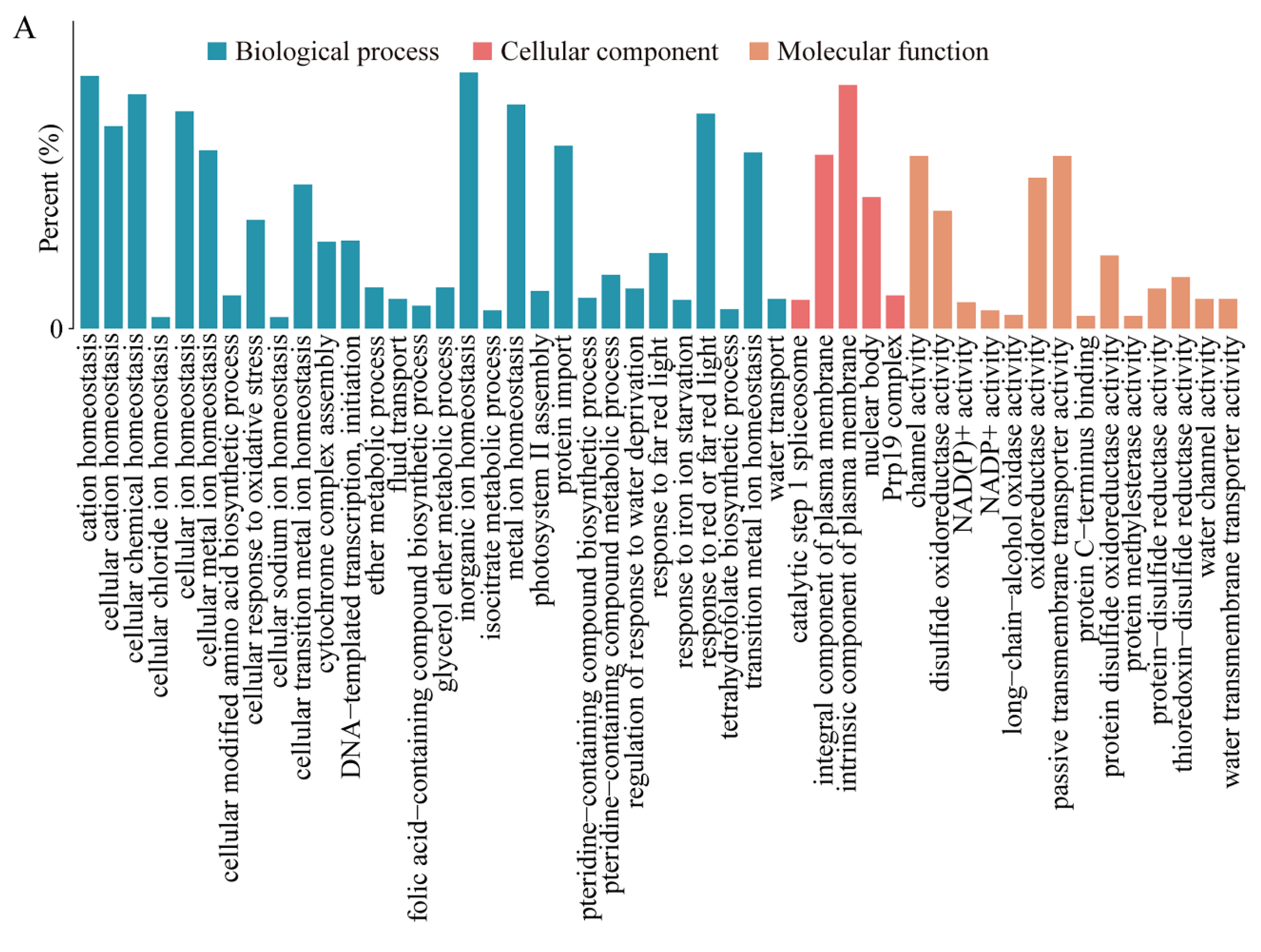Ijms 24 05757 g002a Ijms 24 05757 g002a