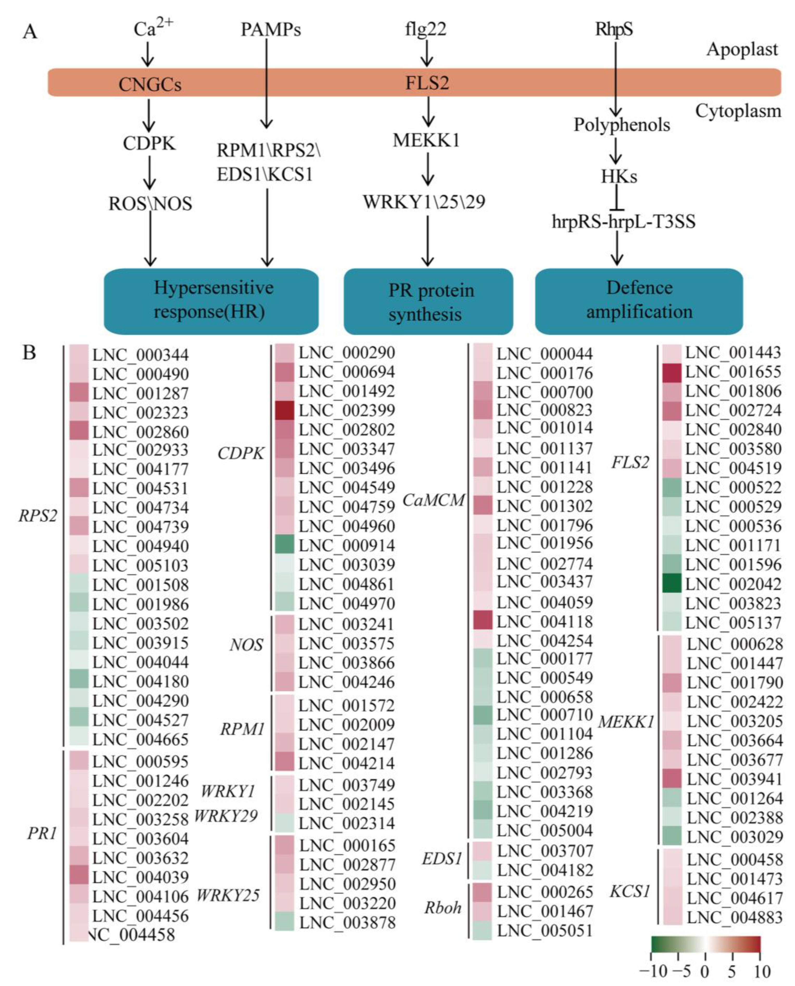 Ijms 24 05757 g003 Ijms 24 05757 g003