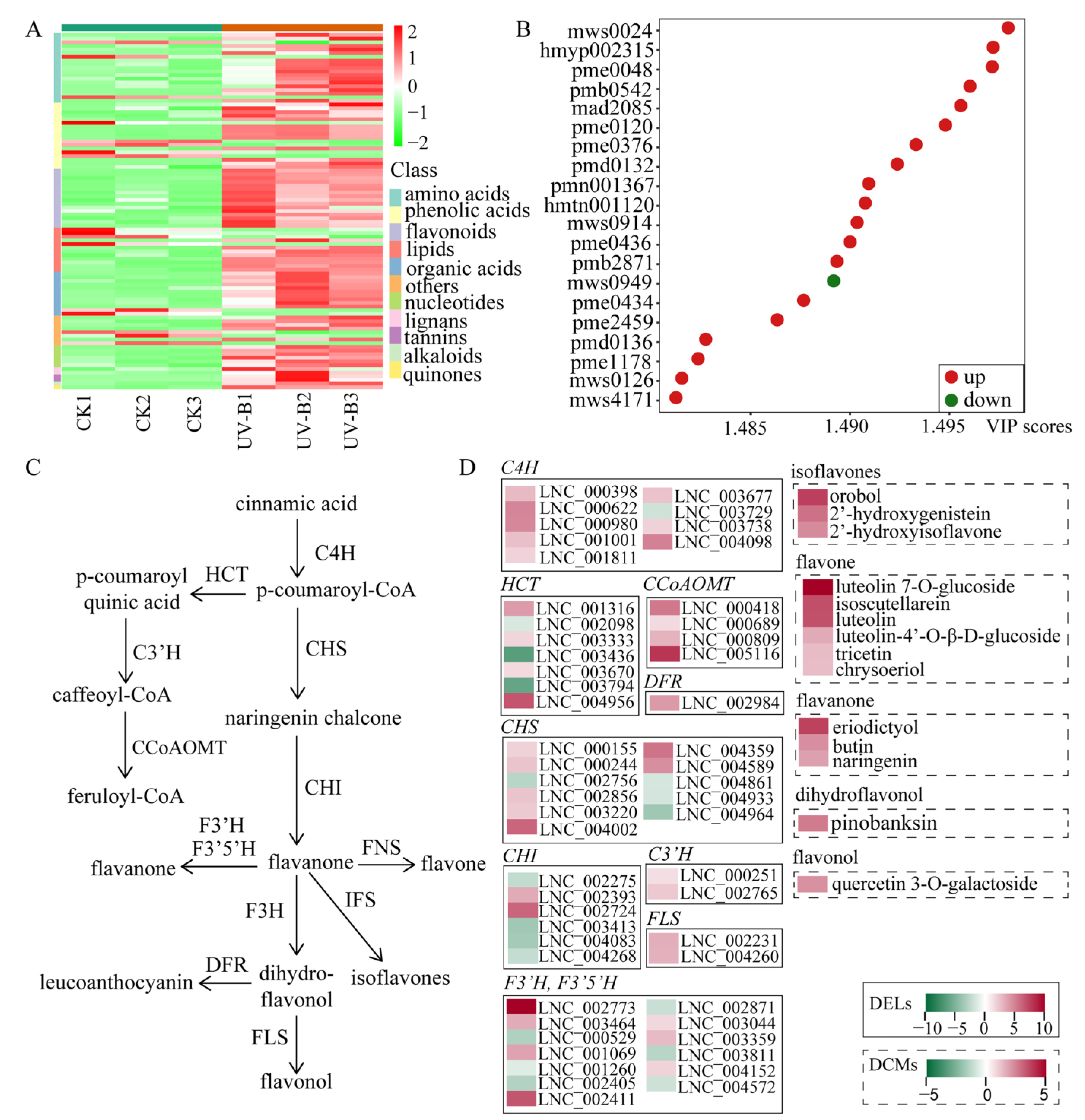 Ijms 24 05757 g005 Ijms 24 05757 g005