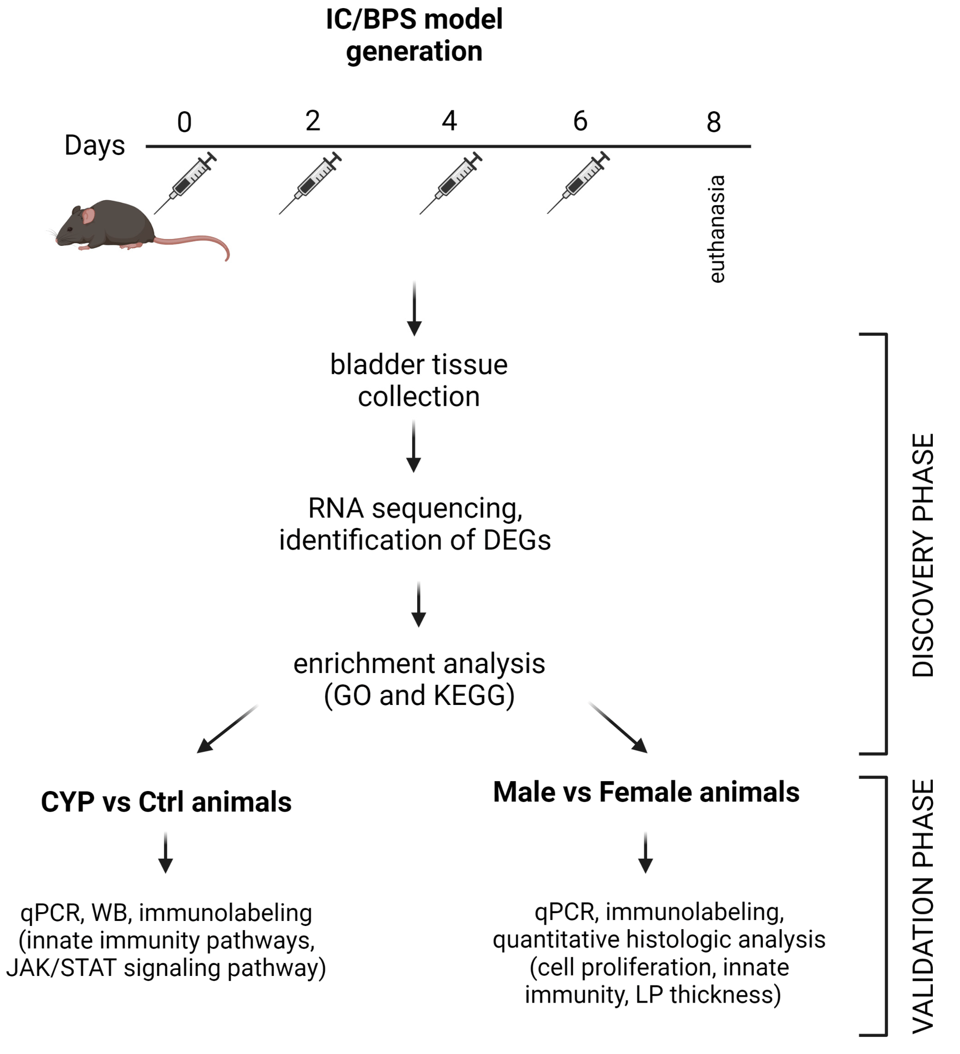 Ijms 24 05758 g001 Ijms 24 05758 g001