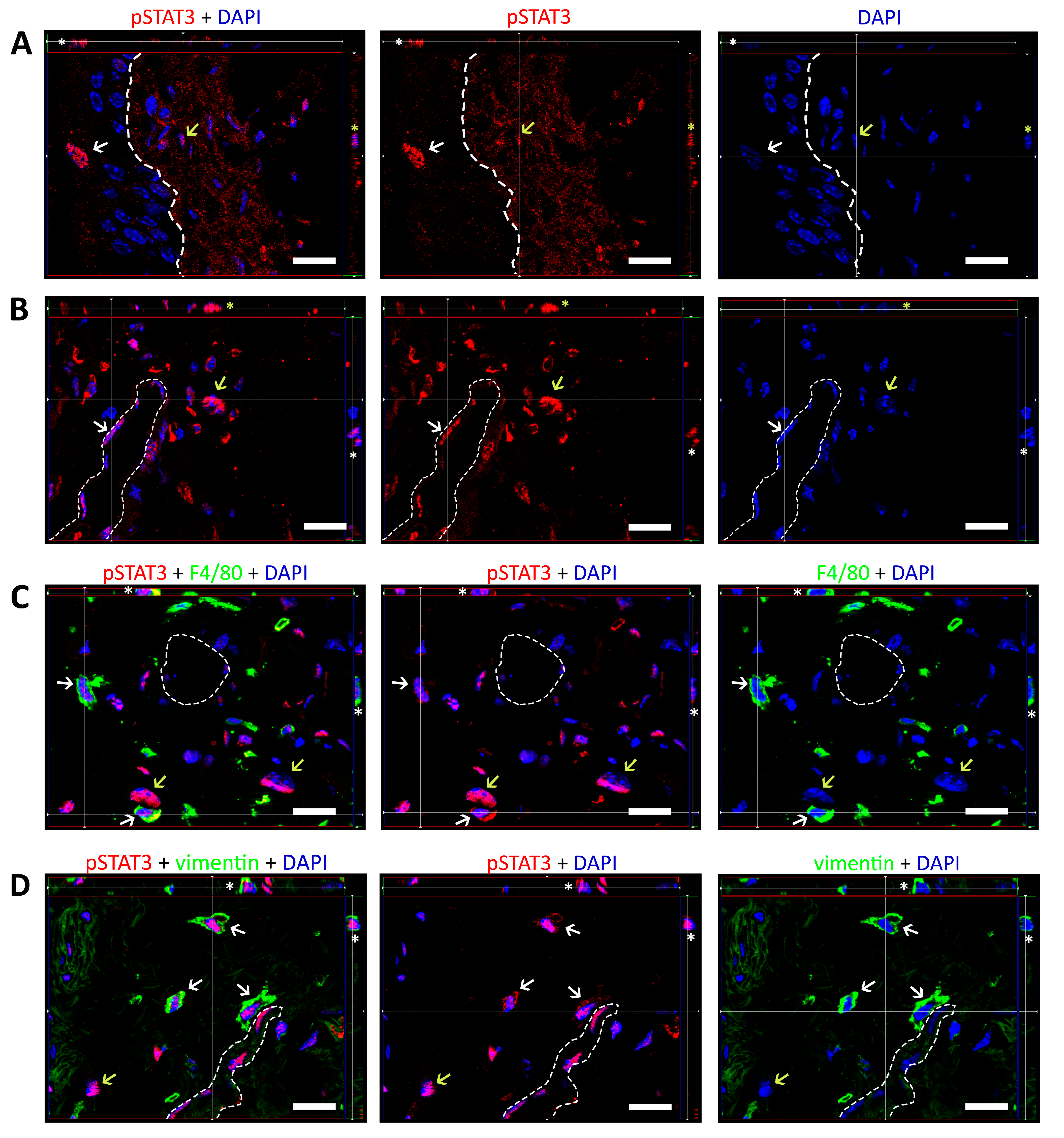 Ijms 24 05758 g005 Ijms 24 05758 g005