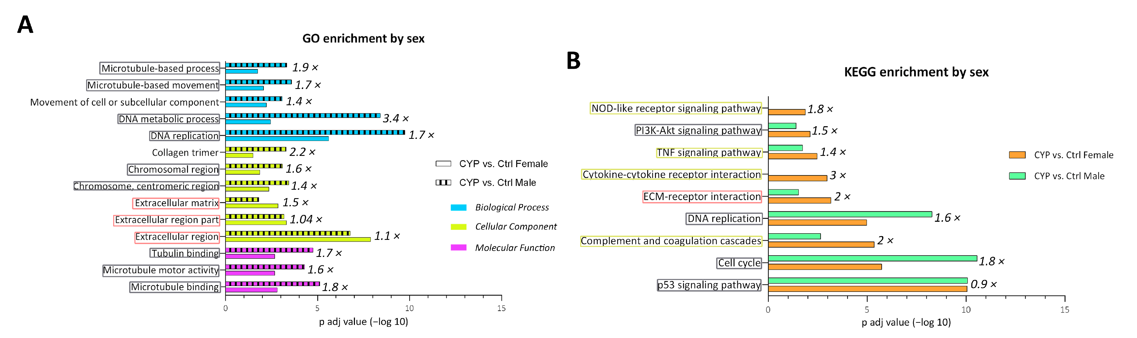 Ijms 24 05758 g006 Ijms 24 05758 g006