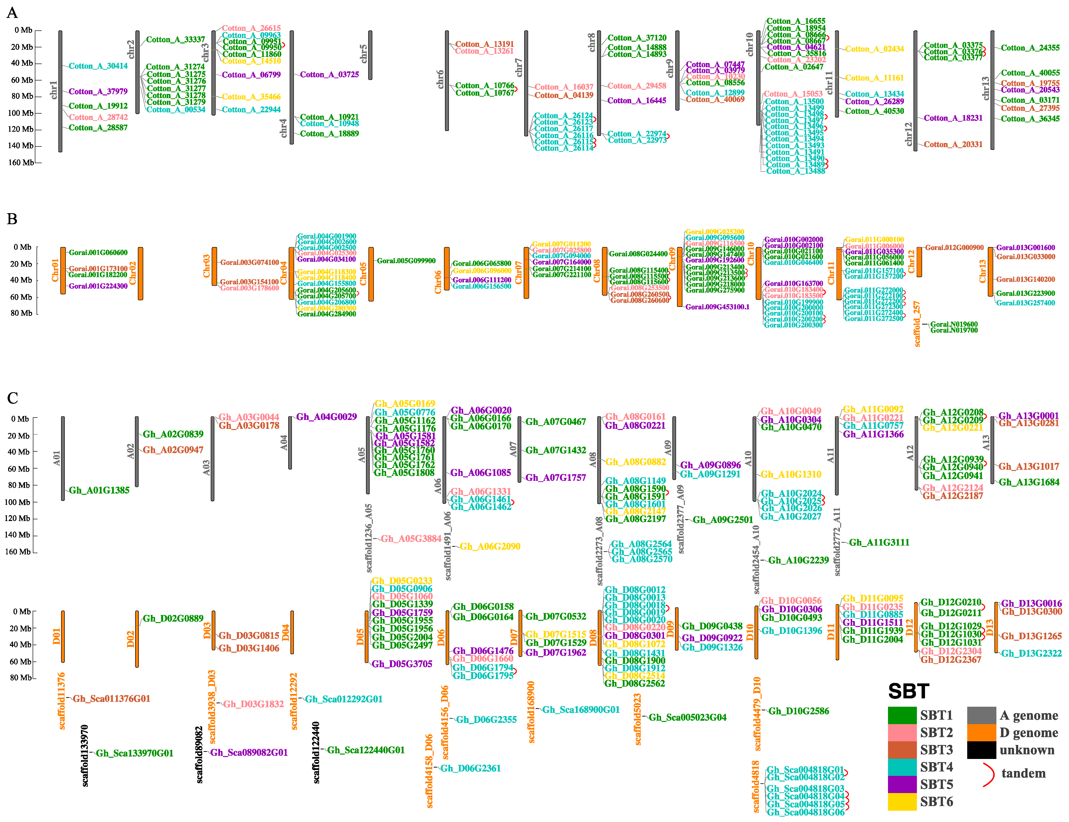 Ijms 24 05760 g003 Ijms 24 05760 g003