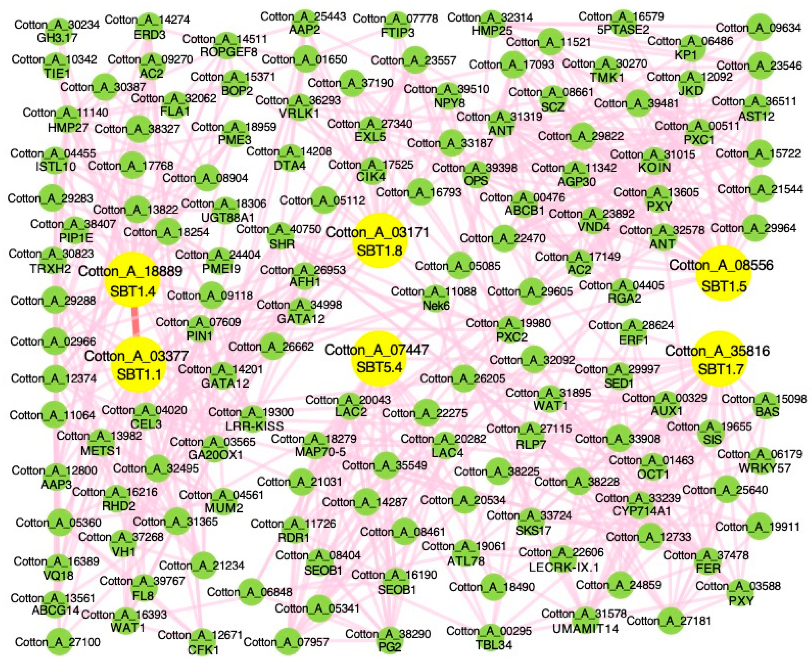 Ijms 24 05760 g005 Ijms 24 05760 g005