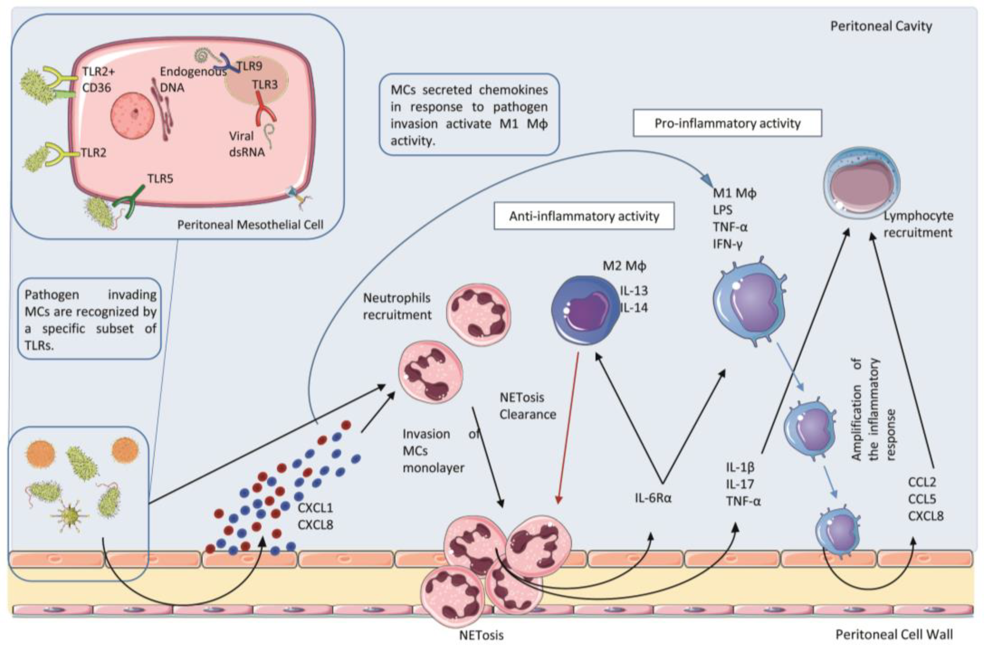 Ijms 24 05763 g001 Ijms 24 05763 g001