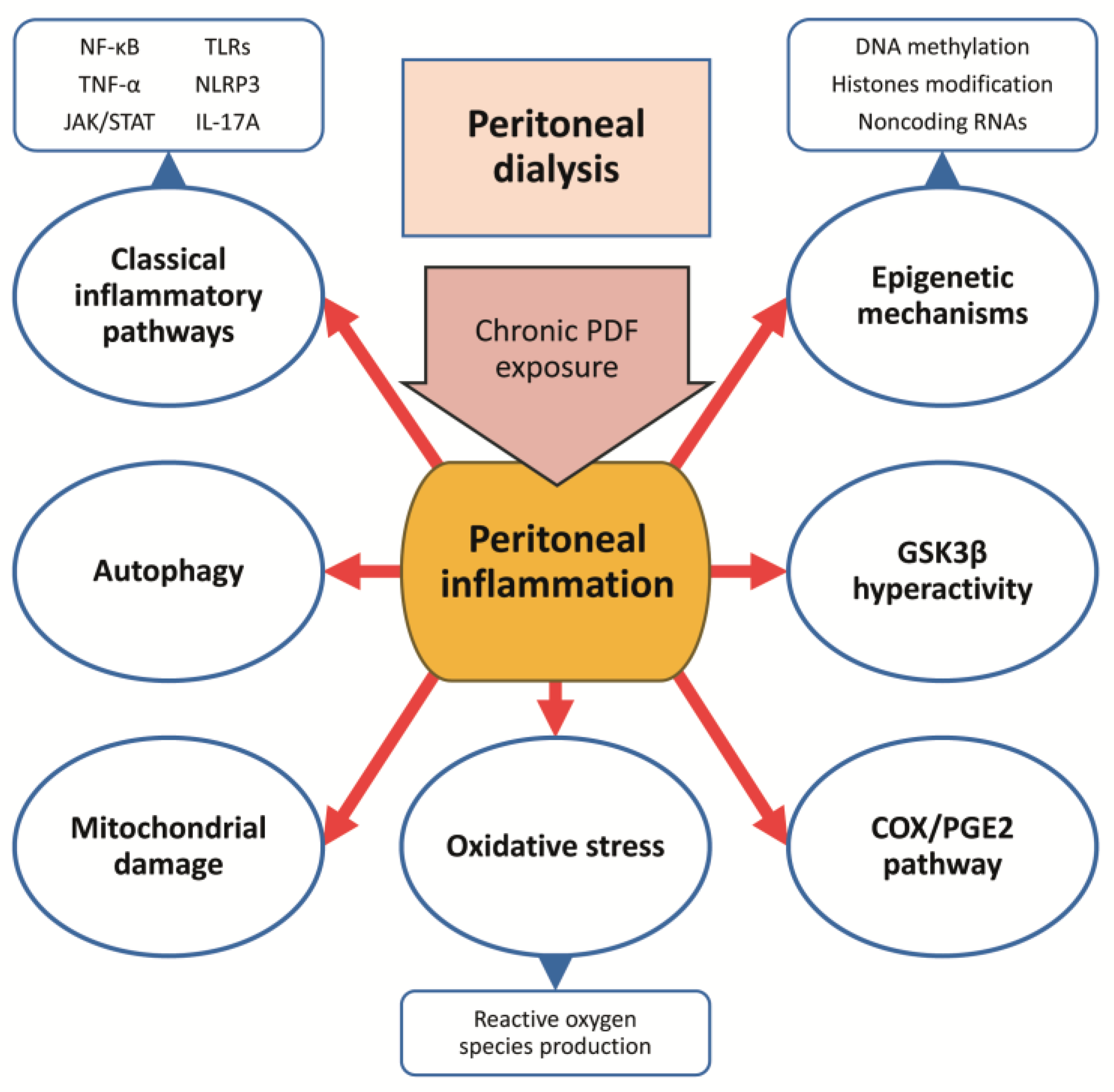 Ijms 24 05763 g003 Ijms 24 05763 g003