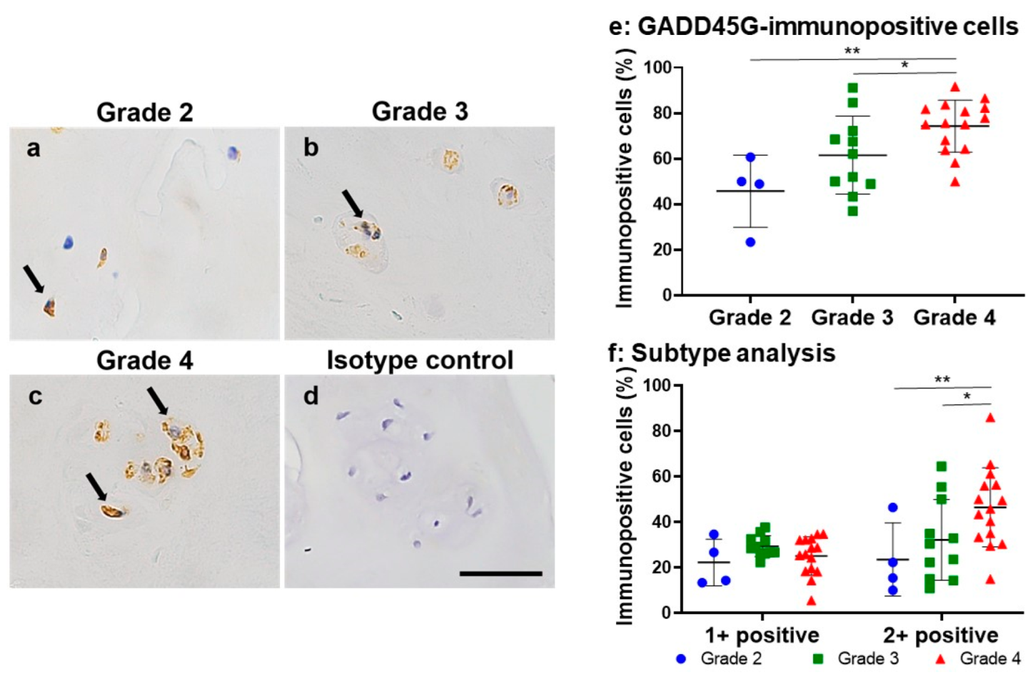 Ijms 24 05768 g007 Ijms 24 05768 g007