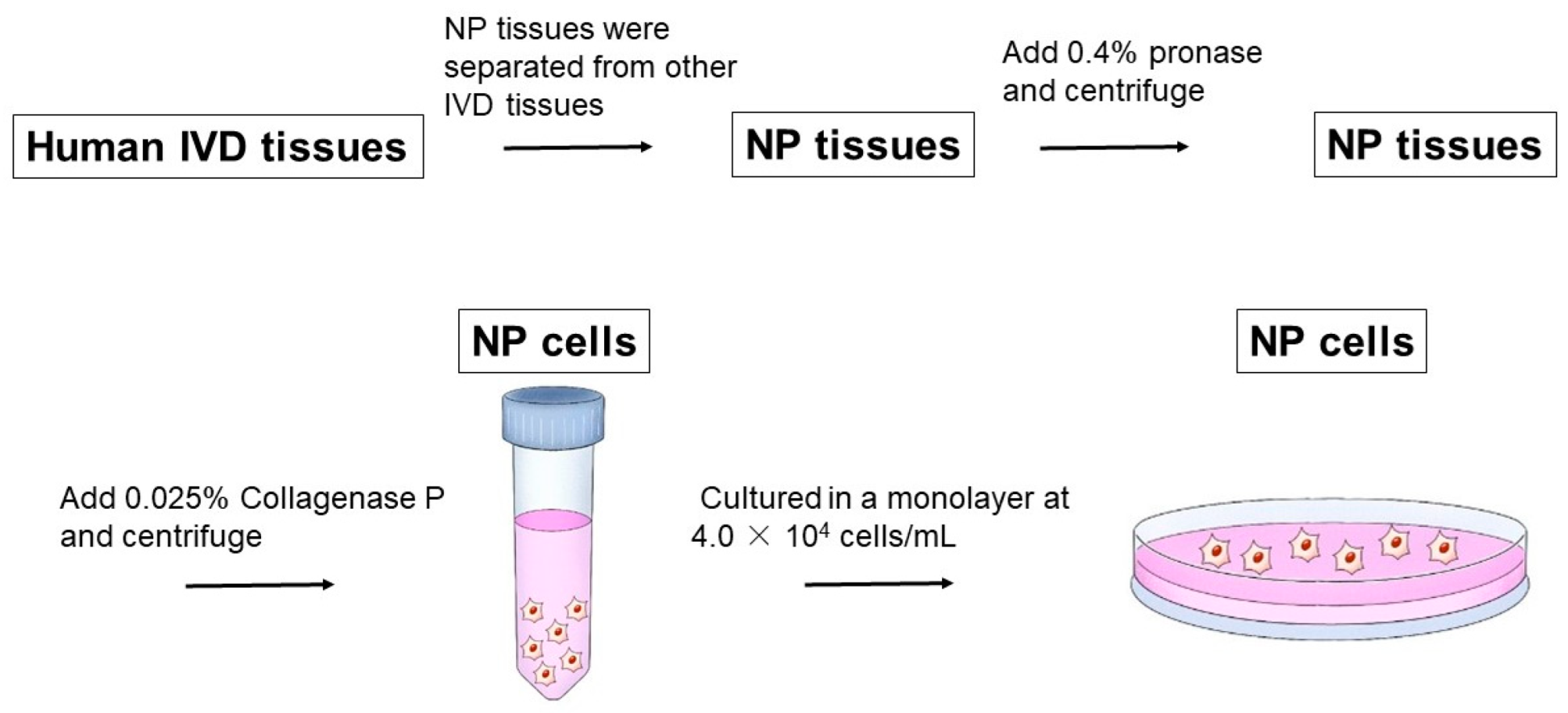 Ijms 24 05768 g011 Ijms 24 05768 g011