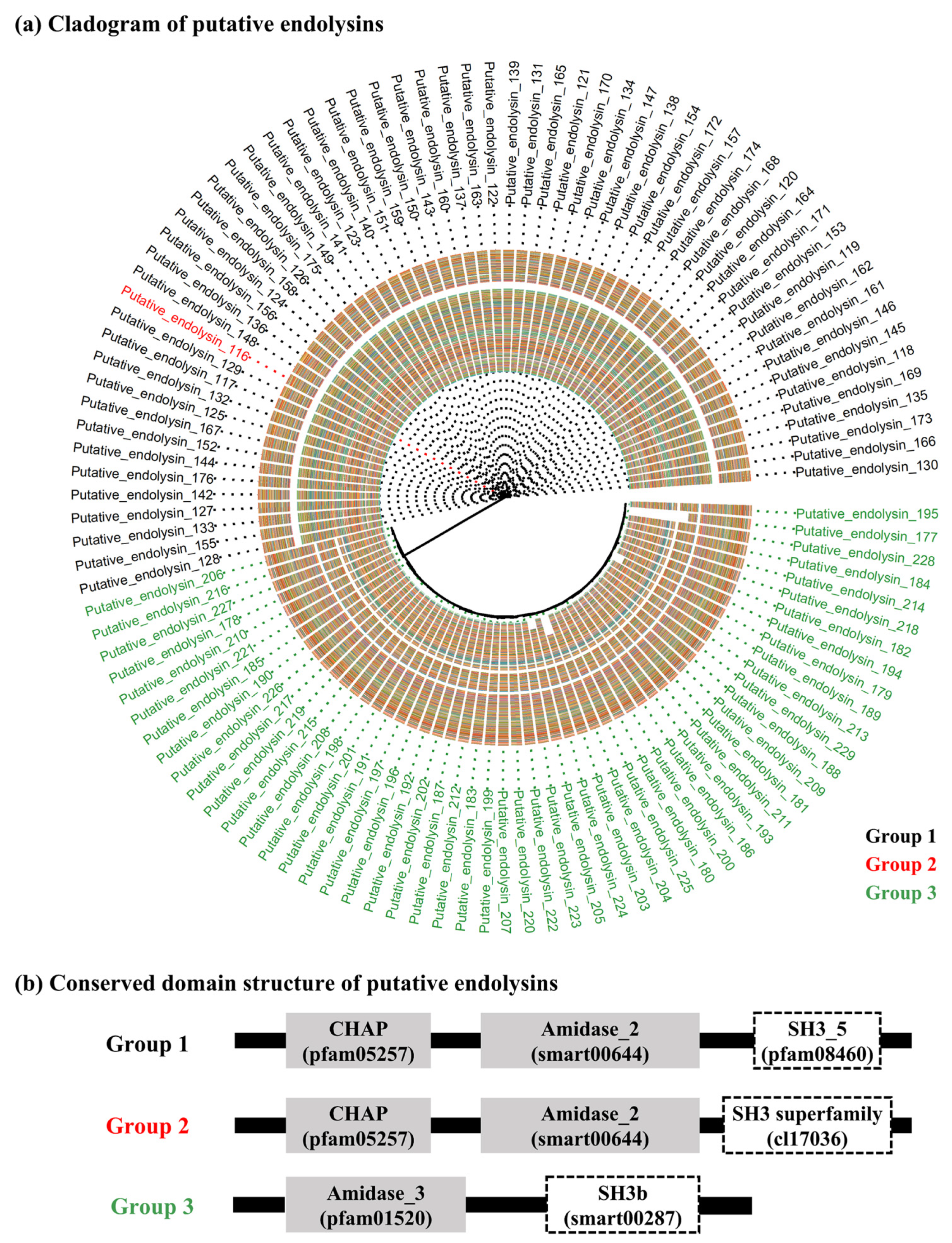 Ijms 24 05772 g002 Ijms 24 05772 g002