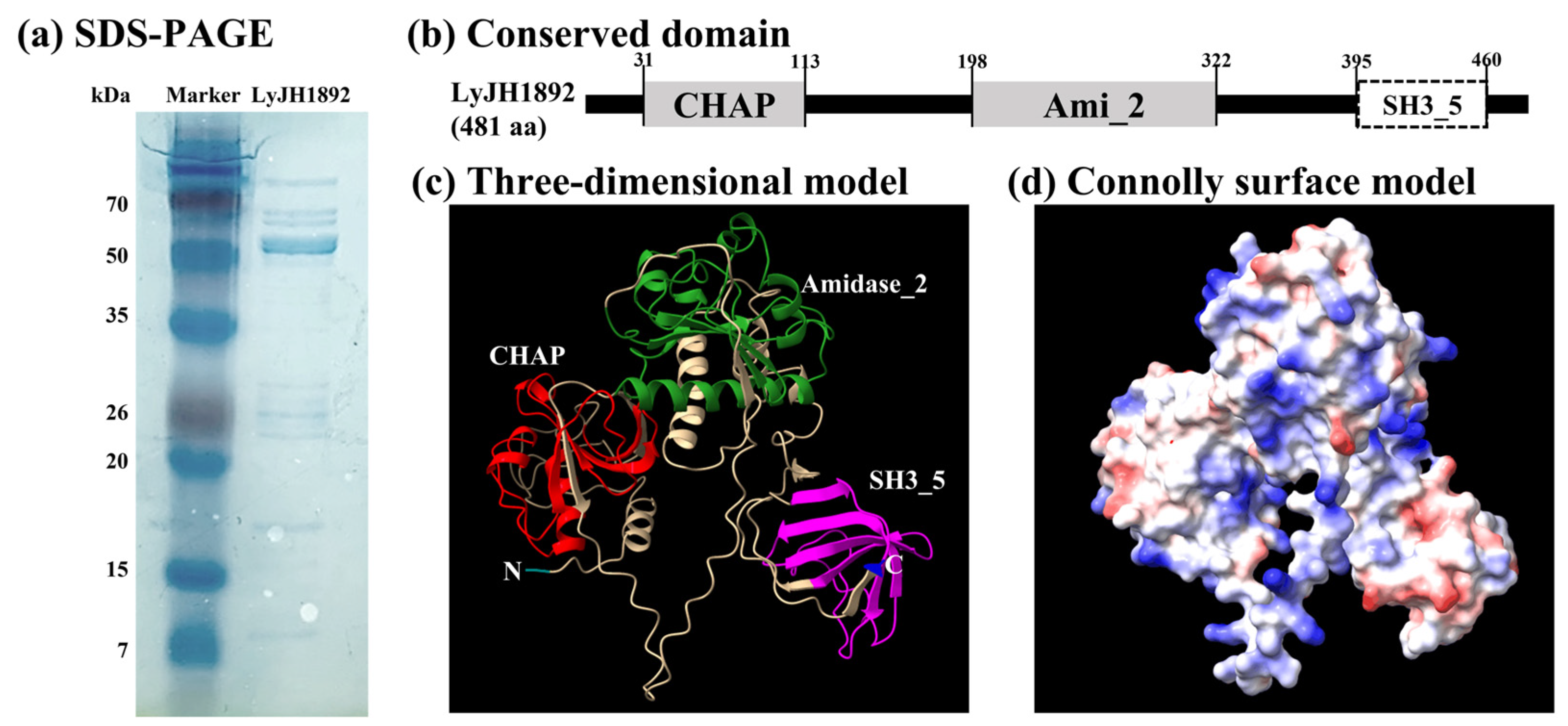 Ijms 24 05772 g004 Ijms 24 05772 g004