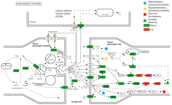 Discovery of 1,2,4-Oxadiazole Derivatives Containing